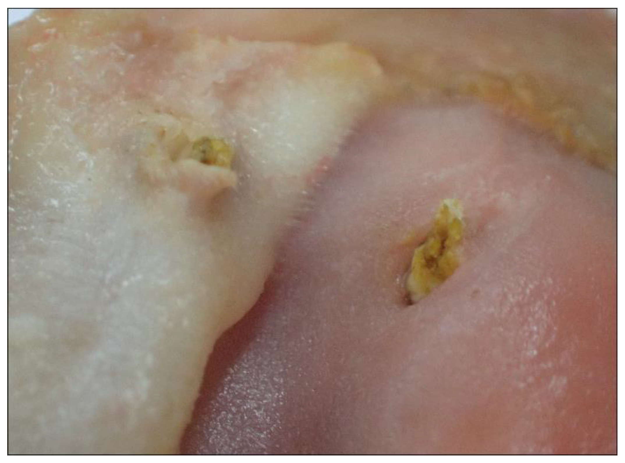 Animals 12 02002 g007 Animals 12 02002 g007