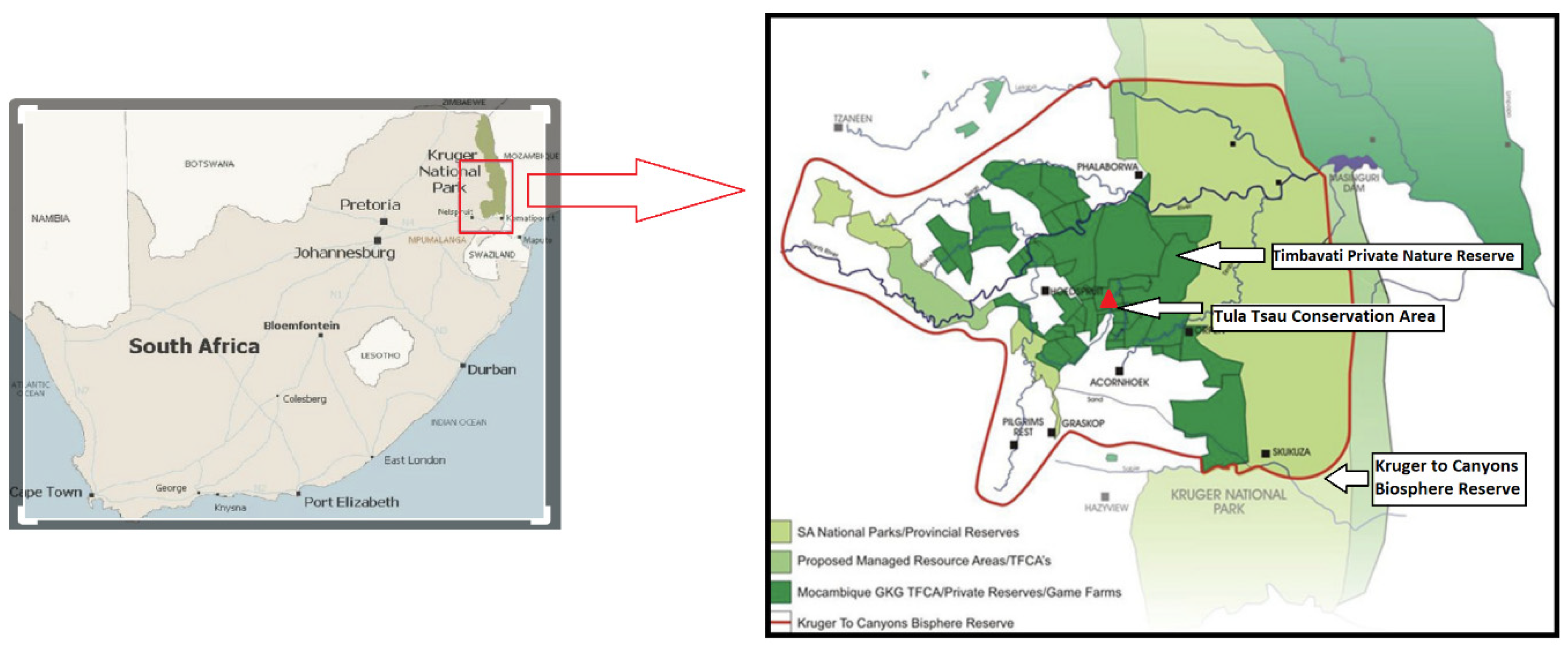 Animals 12 02003 g001 Animals 12 02003 g001