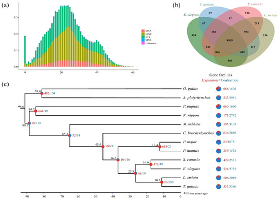 Animals | Free Full-Text | De Novo Whole-Genome Sequencing and 