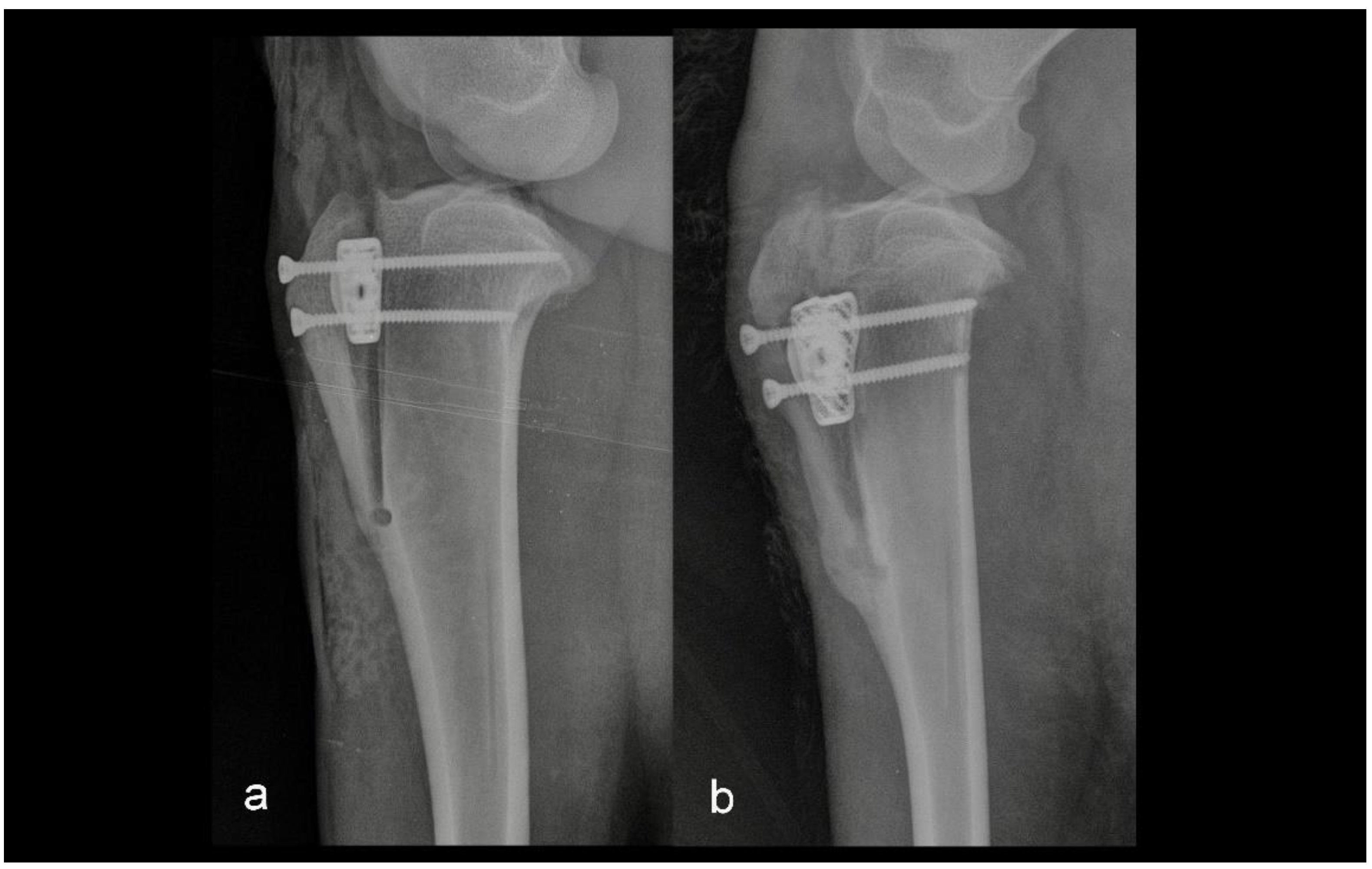 Animals 12 02013 g003 Animals 12 02013 g003