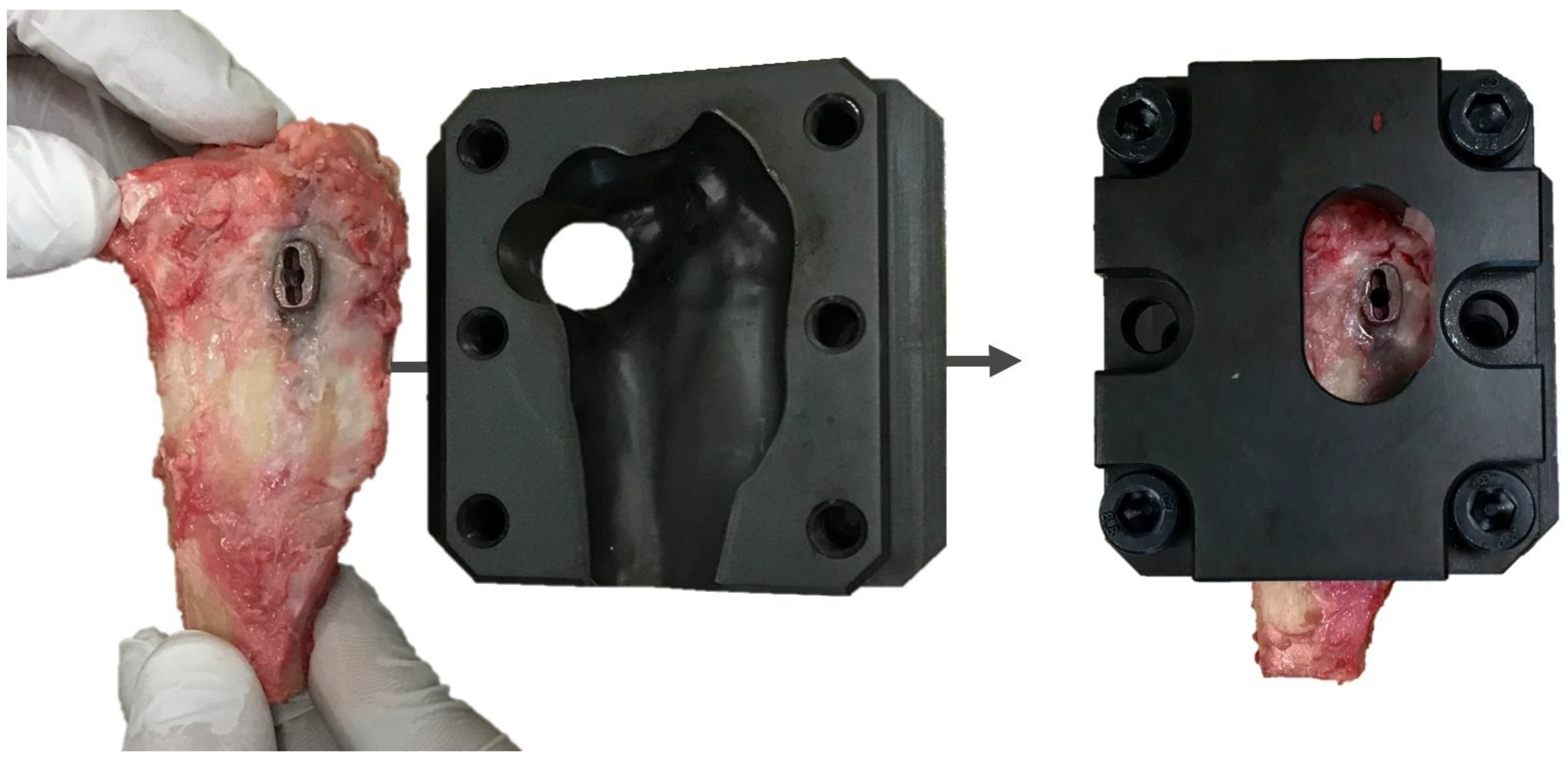 Animals 12 02013 g004 Animals 12 02013 g004