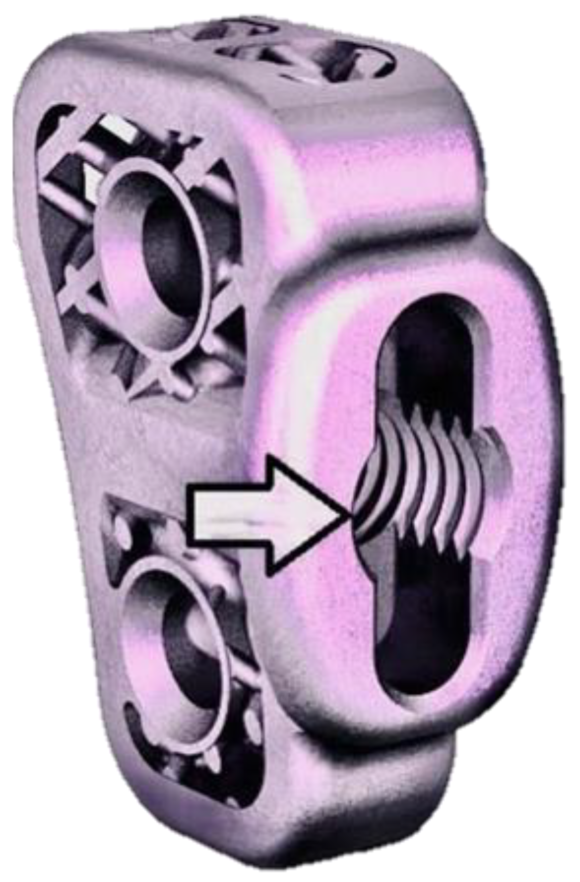 Animals 12 02013 g005 Animals 12 02013 g005