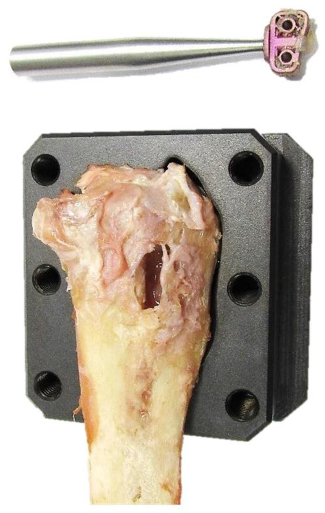 Animals 12 02013 g008 Animals 12 02013 g008