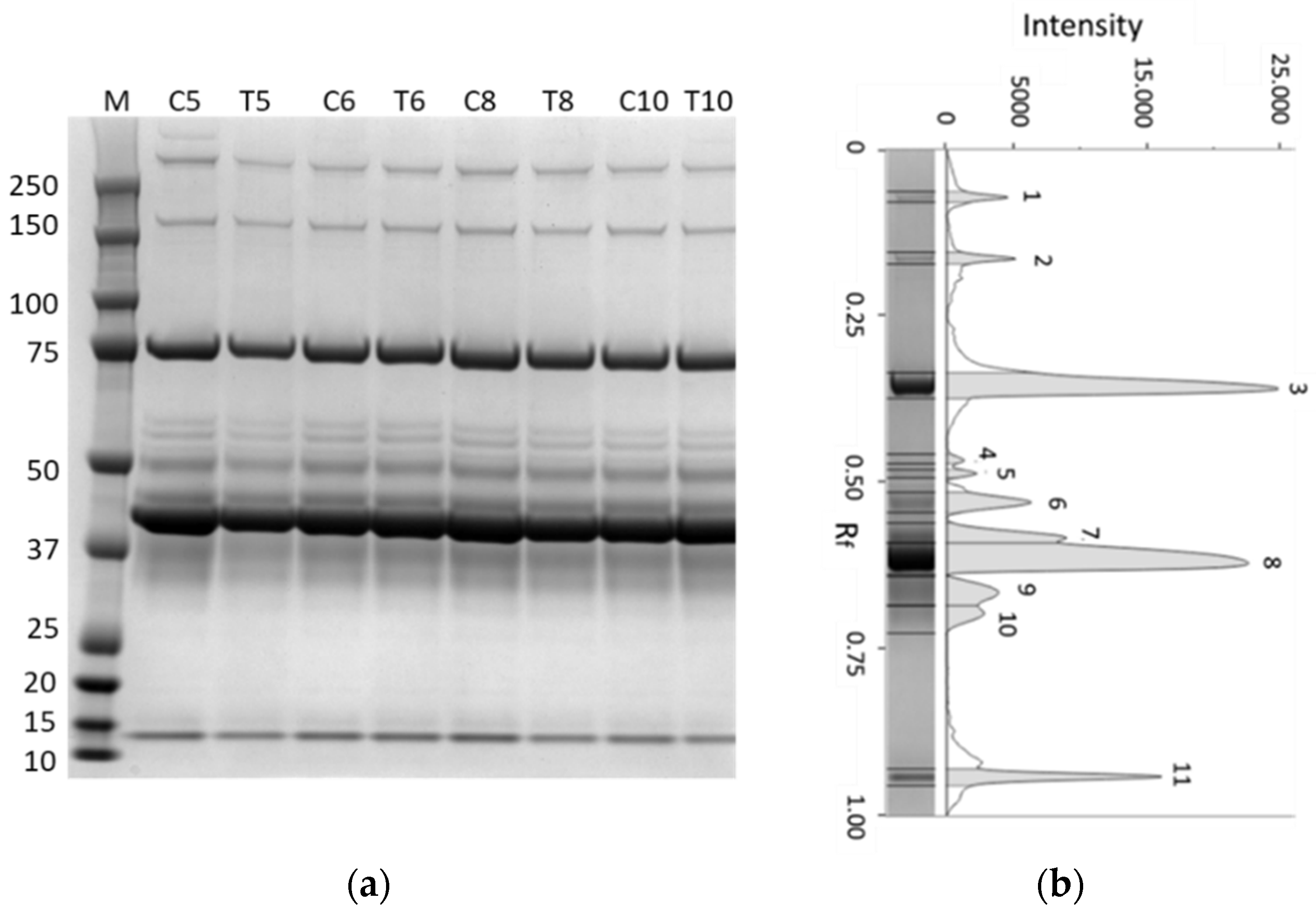 Animals 12 02014 g005