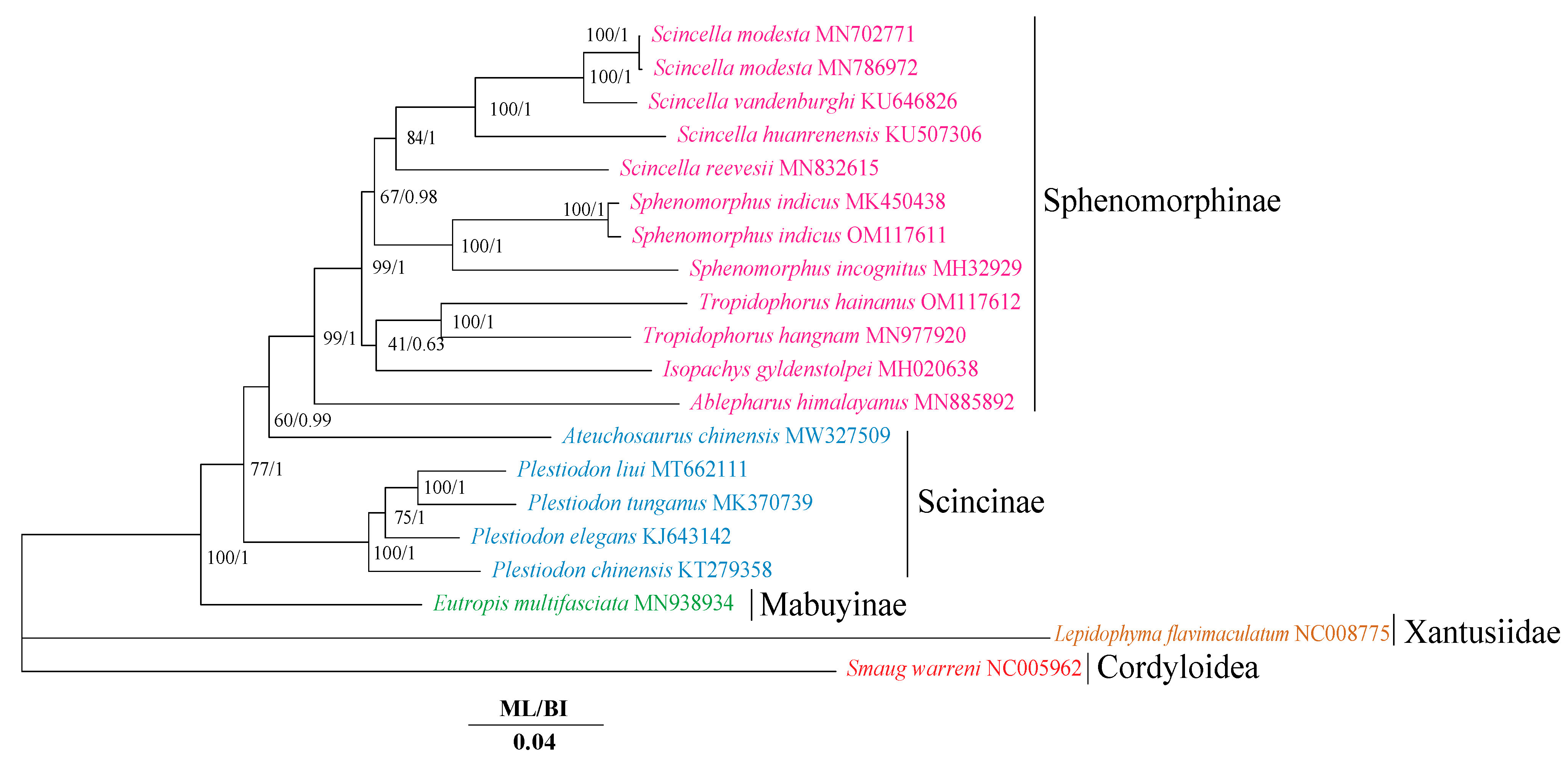 Animals 12 02015 g003 Animals 12 02015 g003