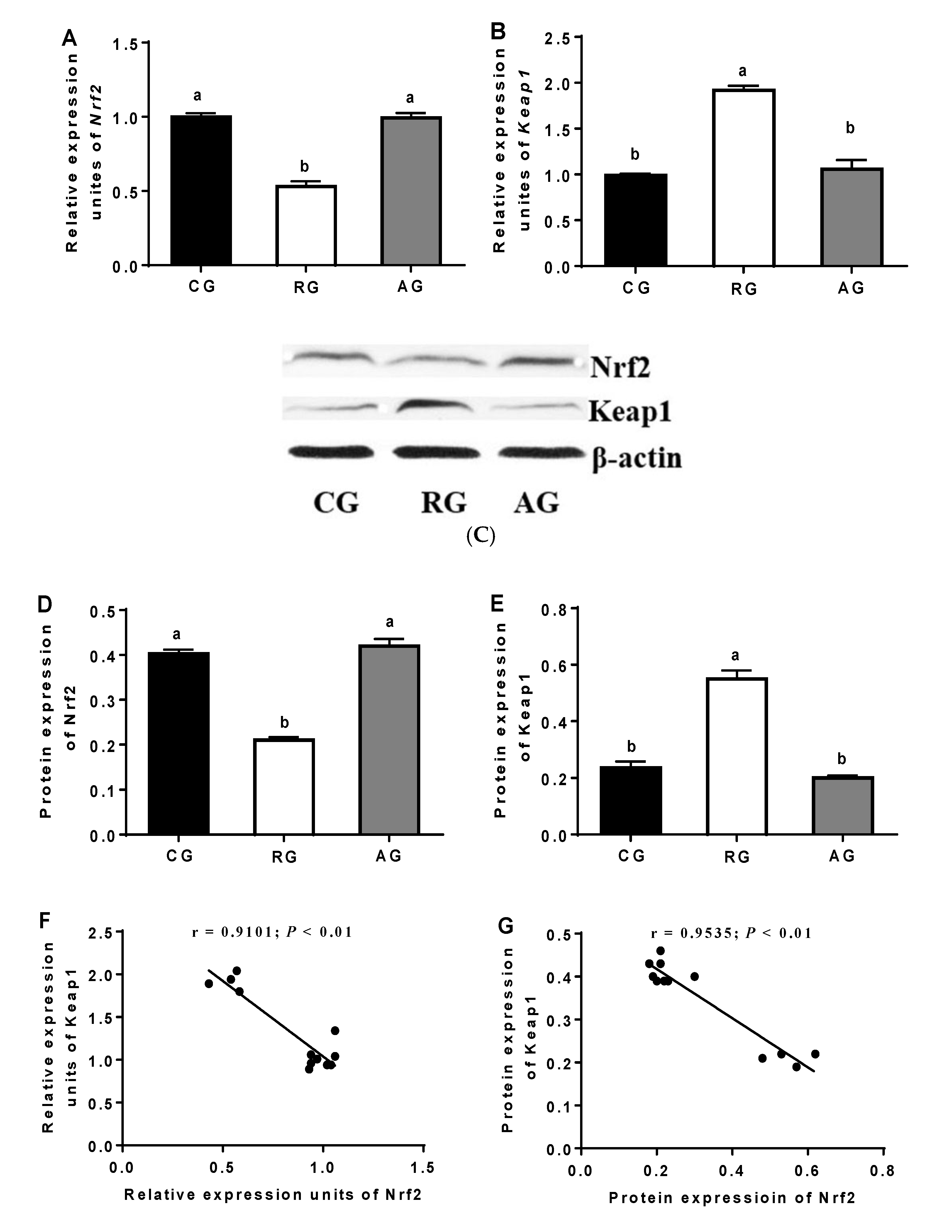 Animals 12 02017 g004 Animals 12 02017 g004