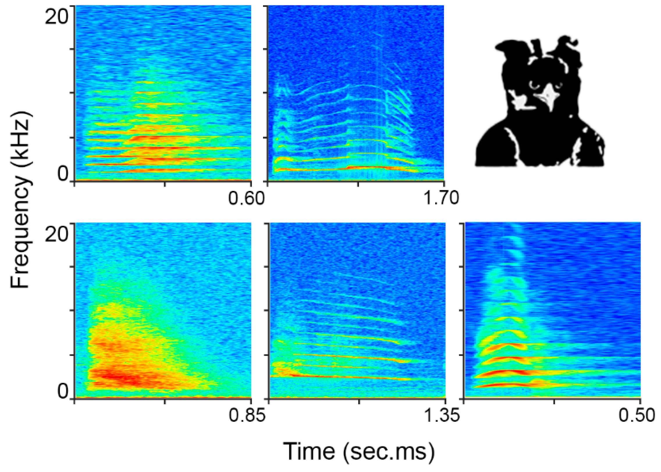 Animals 12 02020 g004 Animals 12 02020 g004