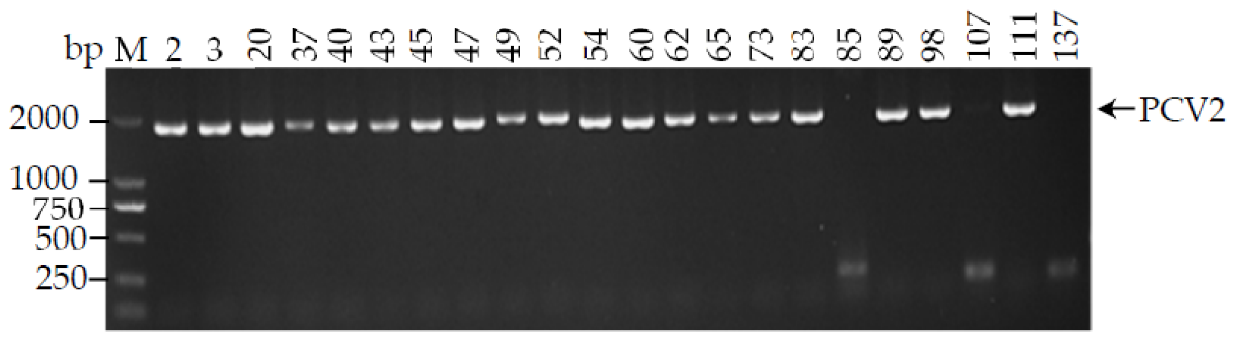 Animals 12 02021 g002 Animals 12 02021 g002