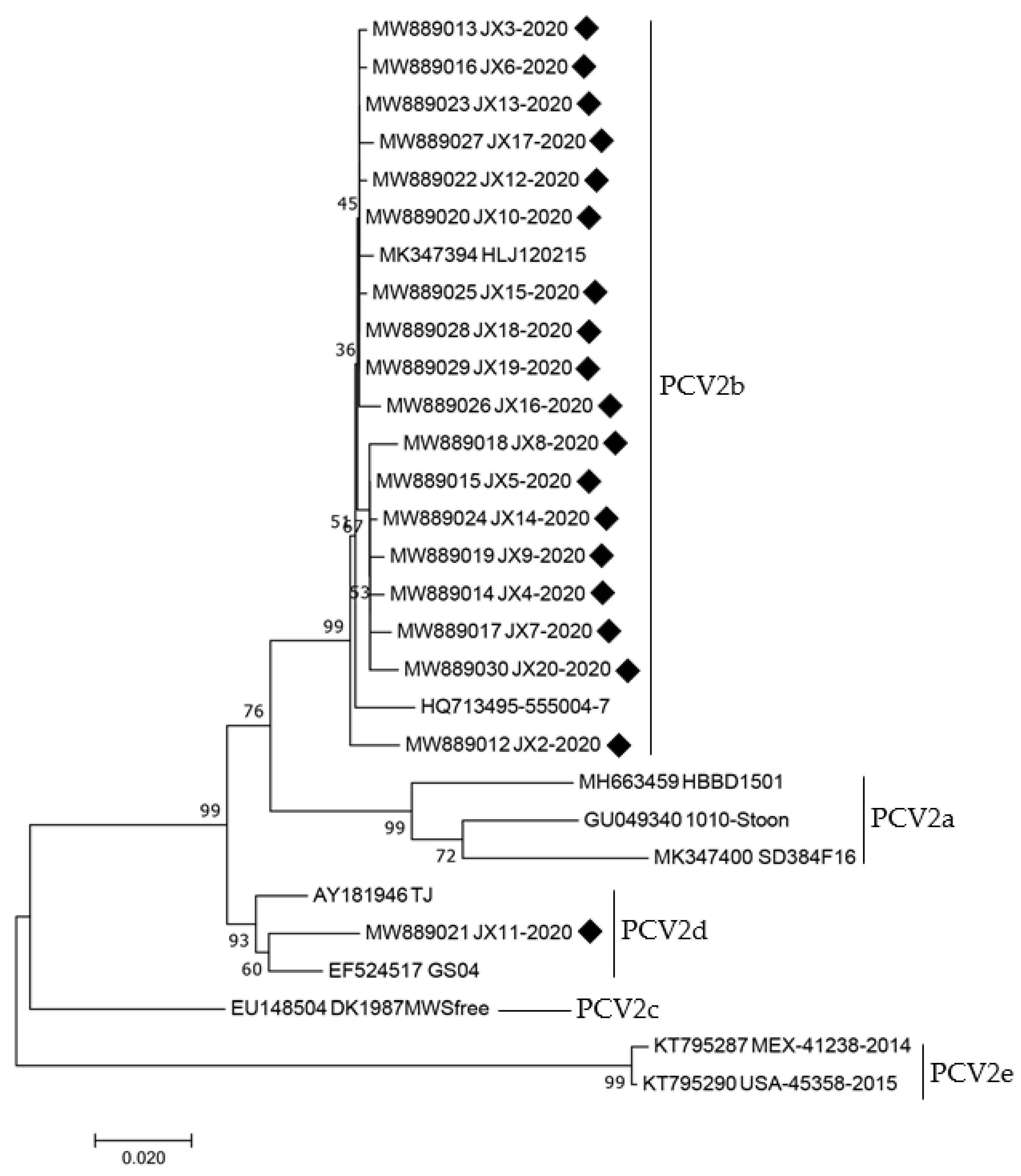 Animals 12 02021 g004 Animals 12 02021 g004