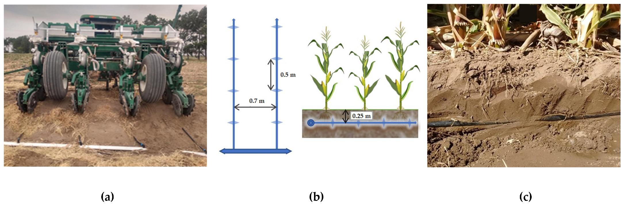 Animals 12 02025 g001