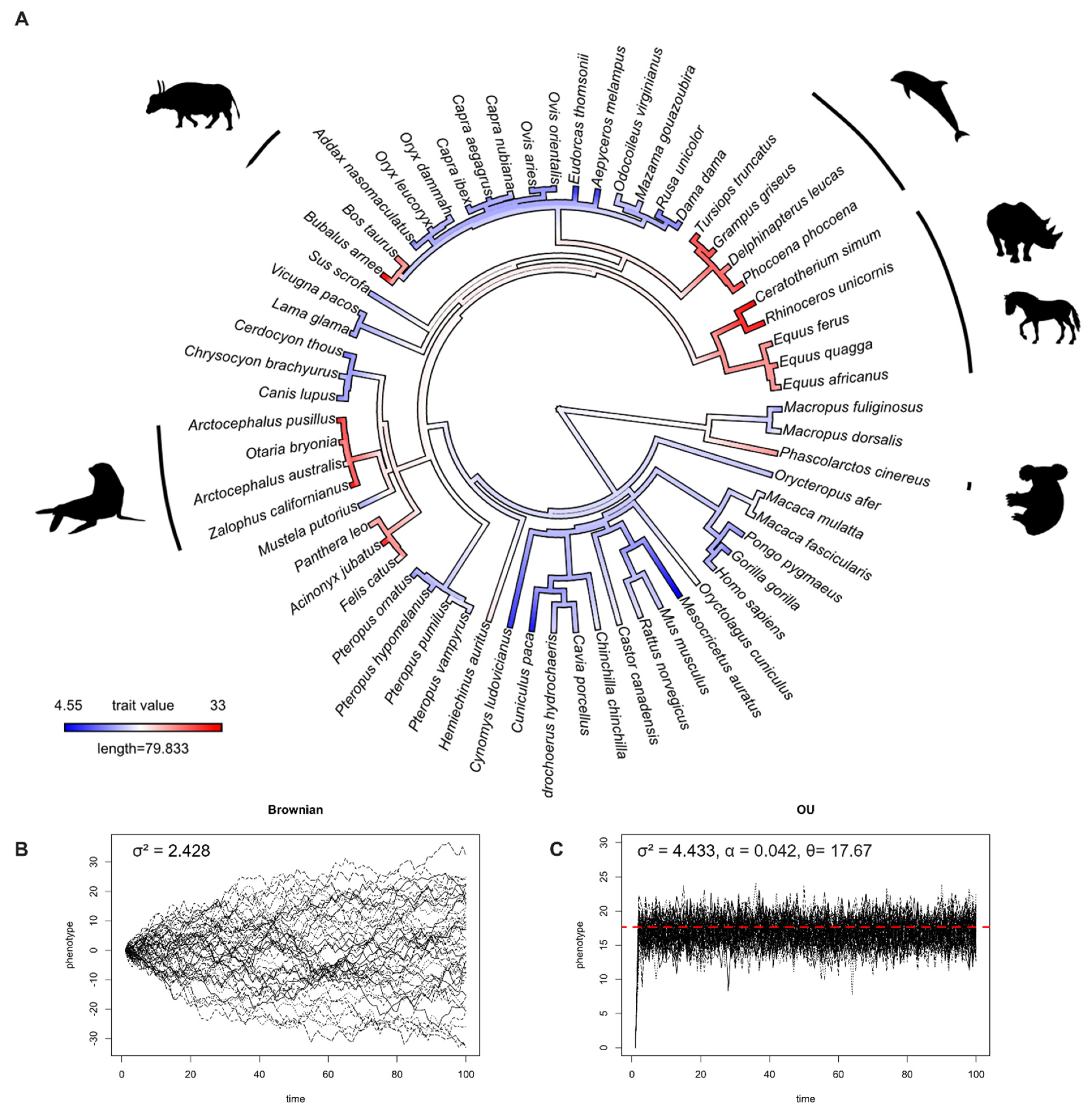 Animals 12 02027 g001