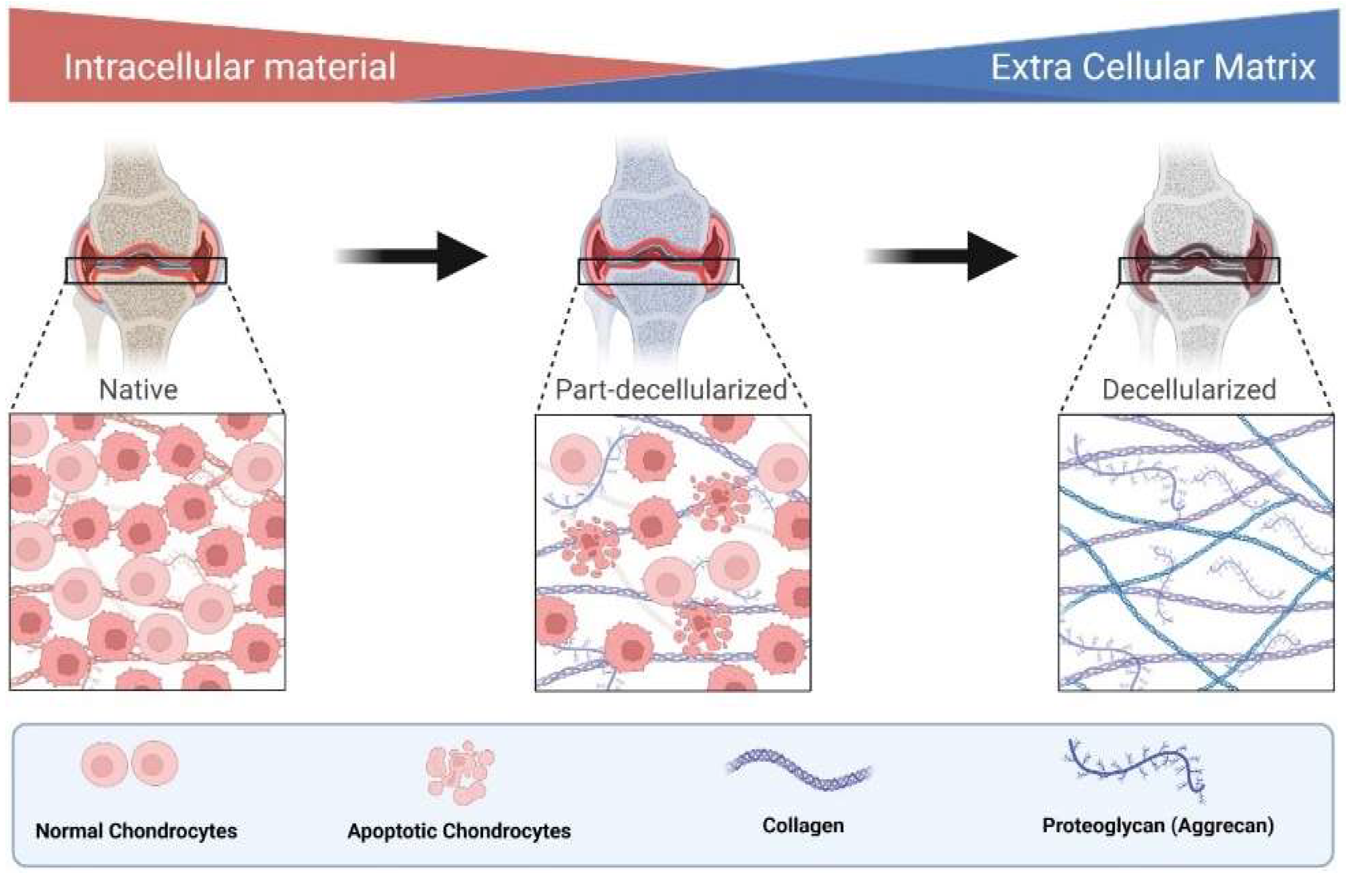 Animals 12 02028 g003 Animals 12 02028 g003
