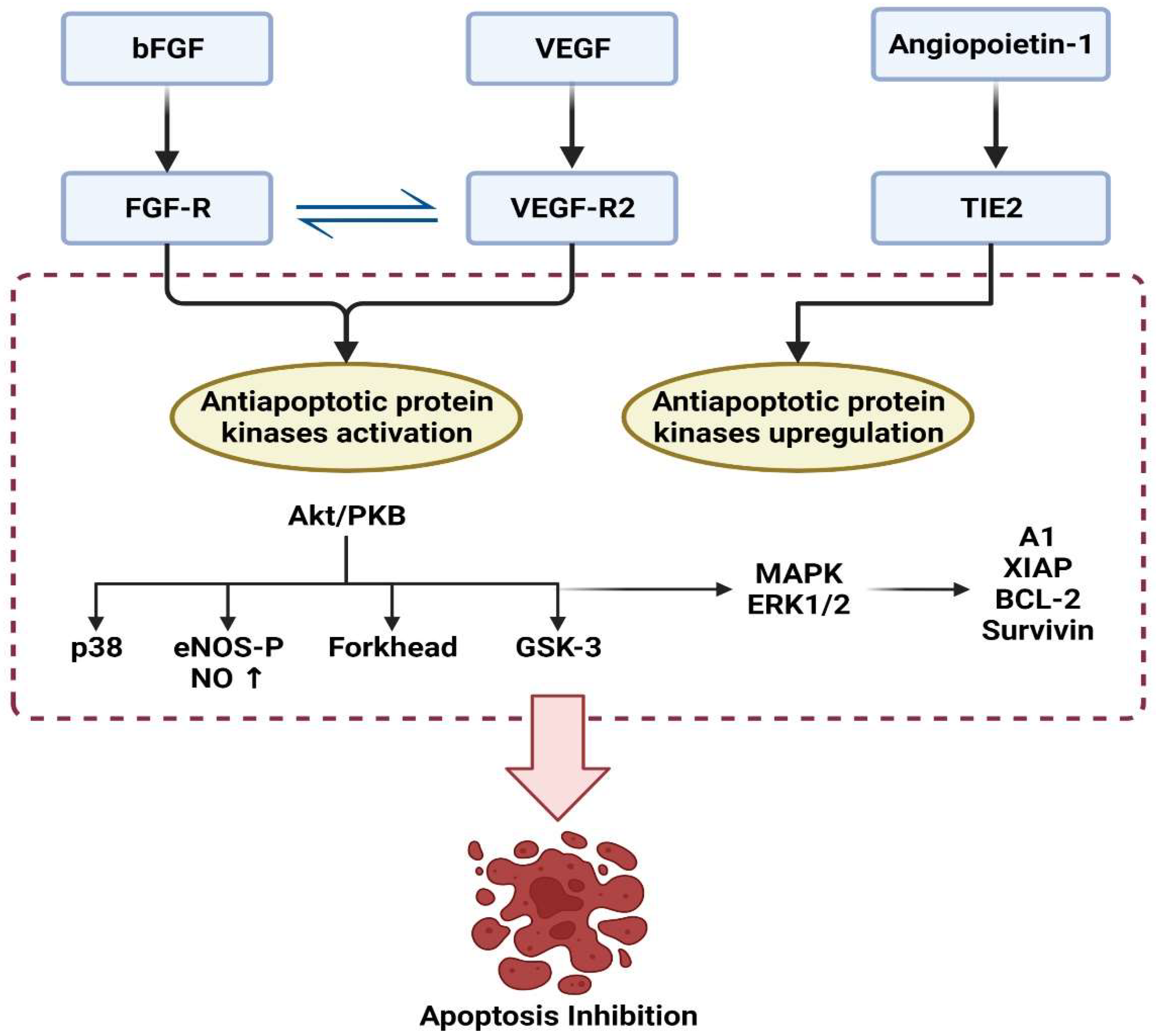 Animals 12 02028 g004 Animals 12 02028 g004