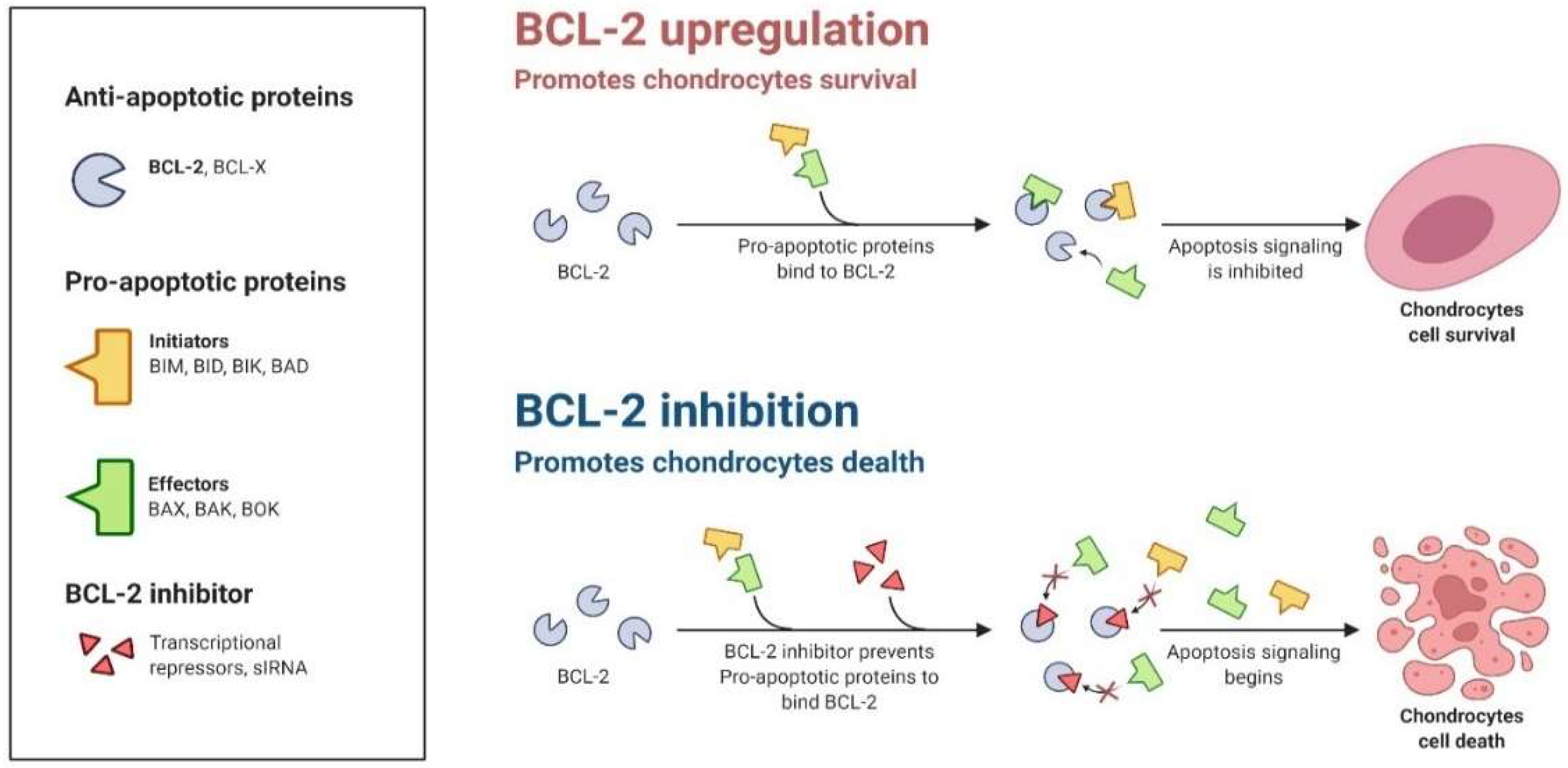 Animals 12 02028 g006 Animals 12 02028 g006