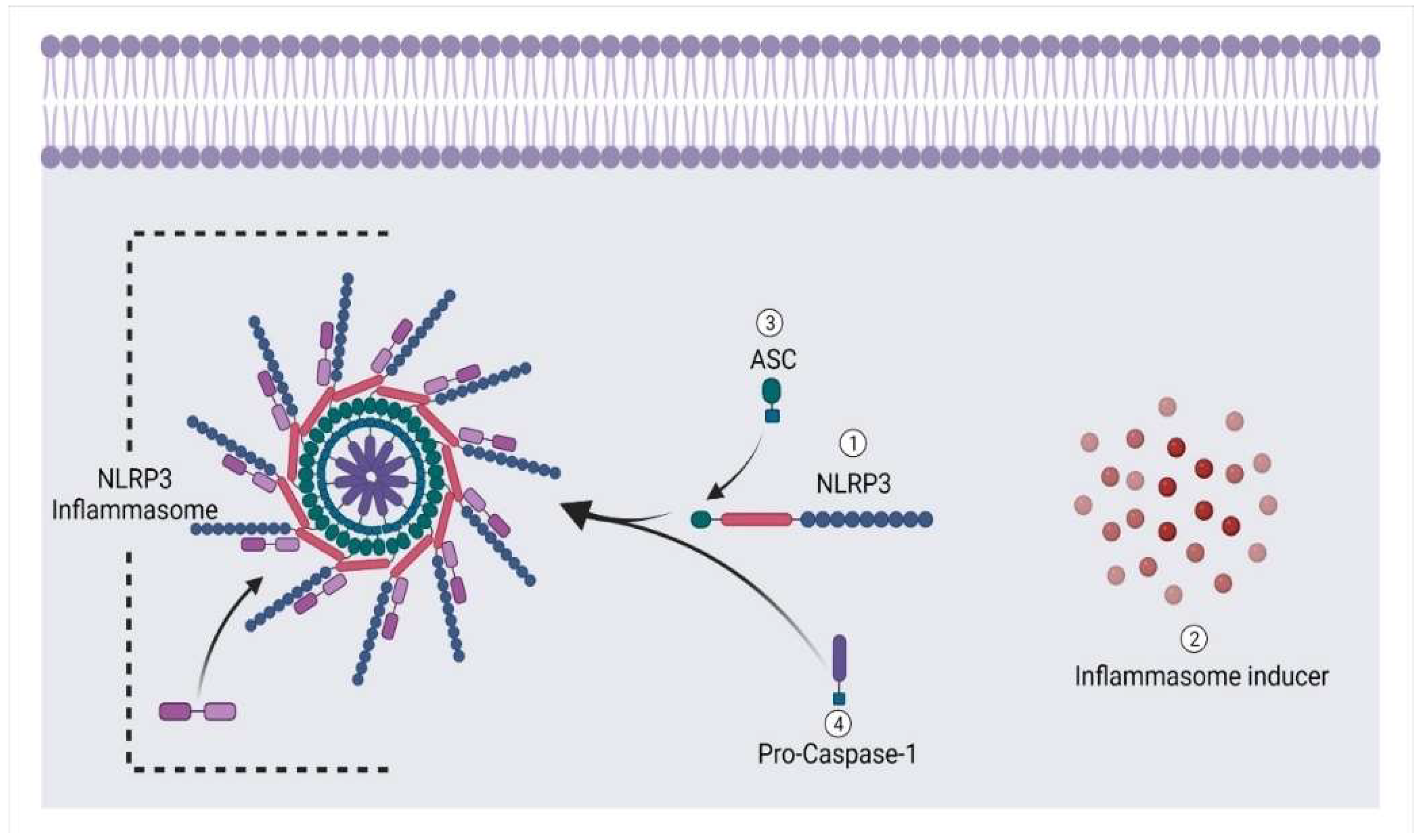 Animals 12 02028 g008 Animals 12 02028 g008