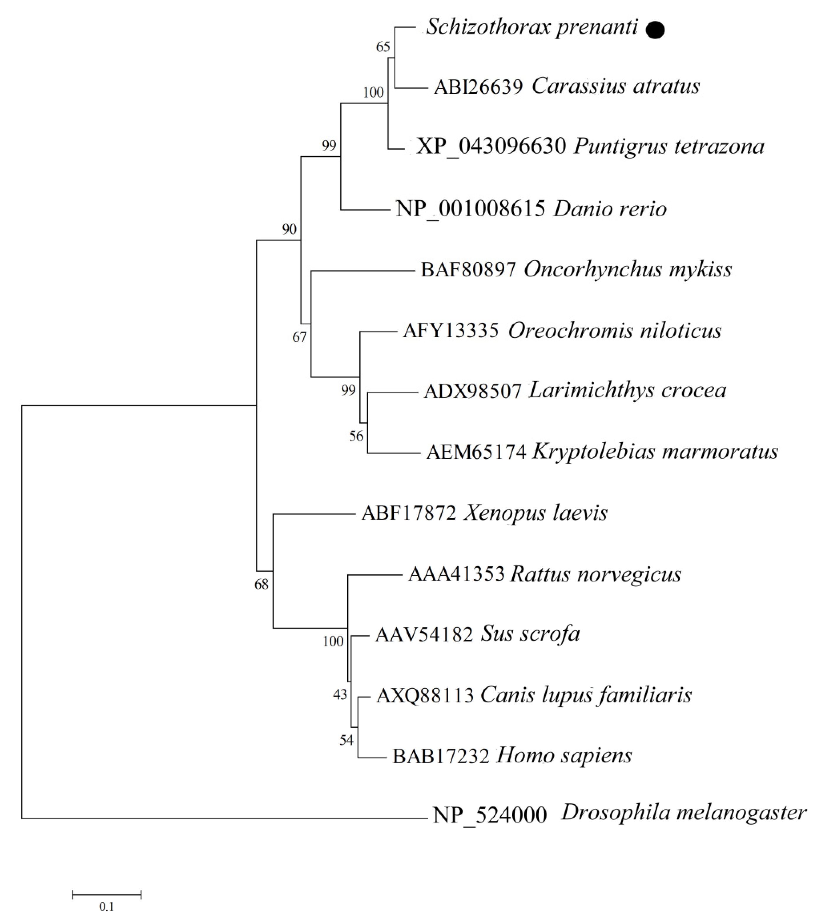 Animals 12 02034 g004 550