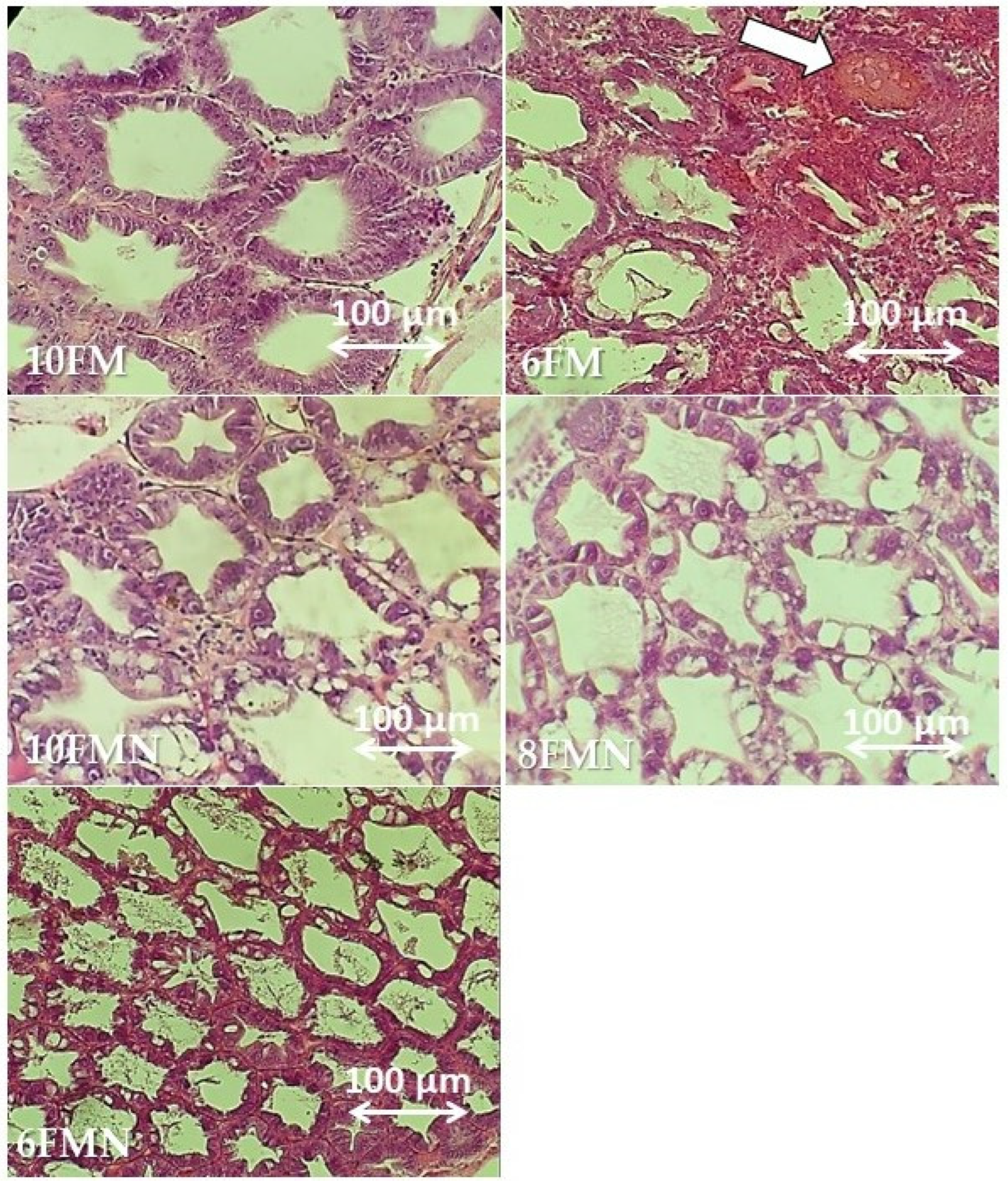 Animals 12 02036 g004 550