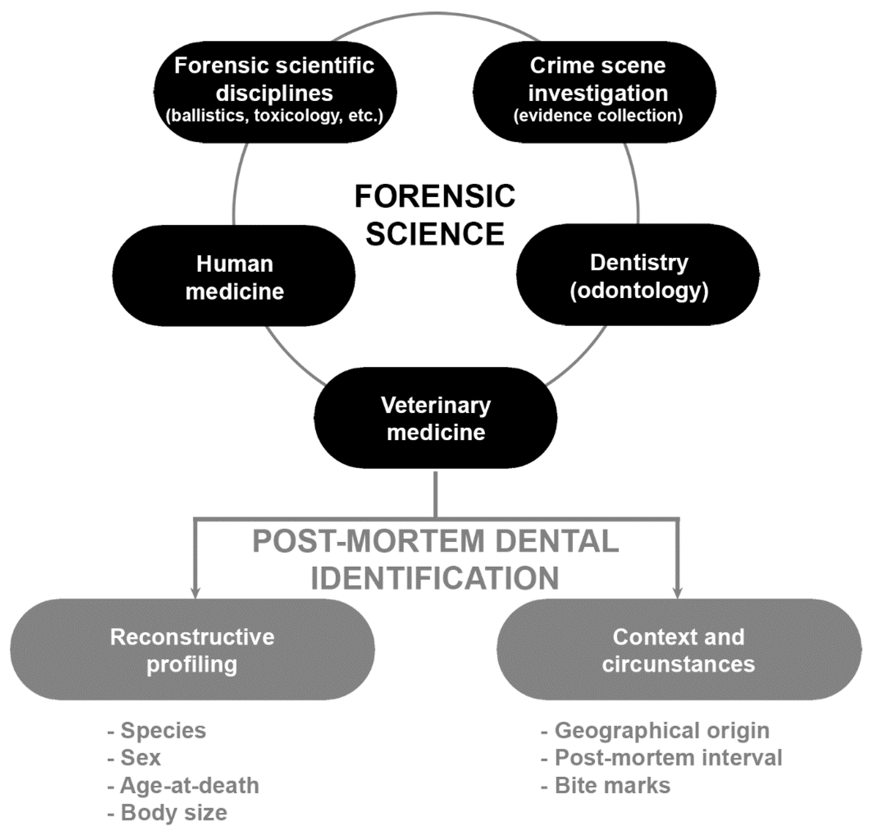 PHYSICAL EVIDENCE INTRODUCTION & BIBLIOGRAPHY ON THEIR FORENSIC