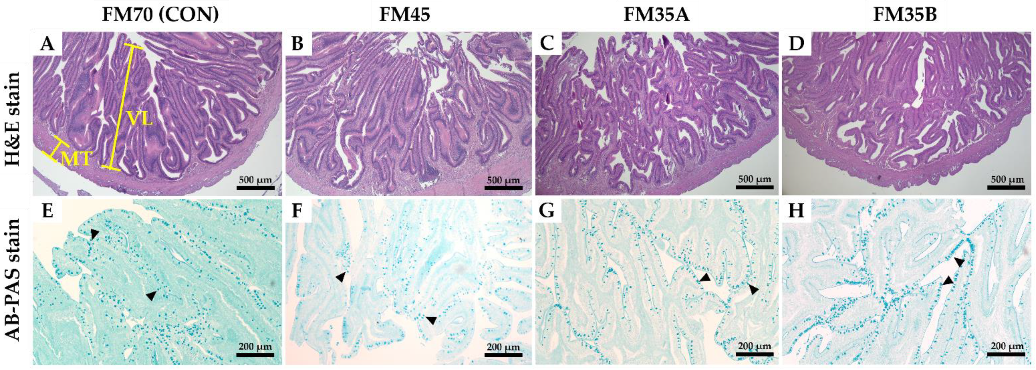 Animals 12 02043 g002