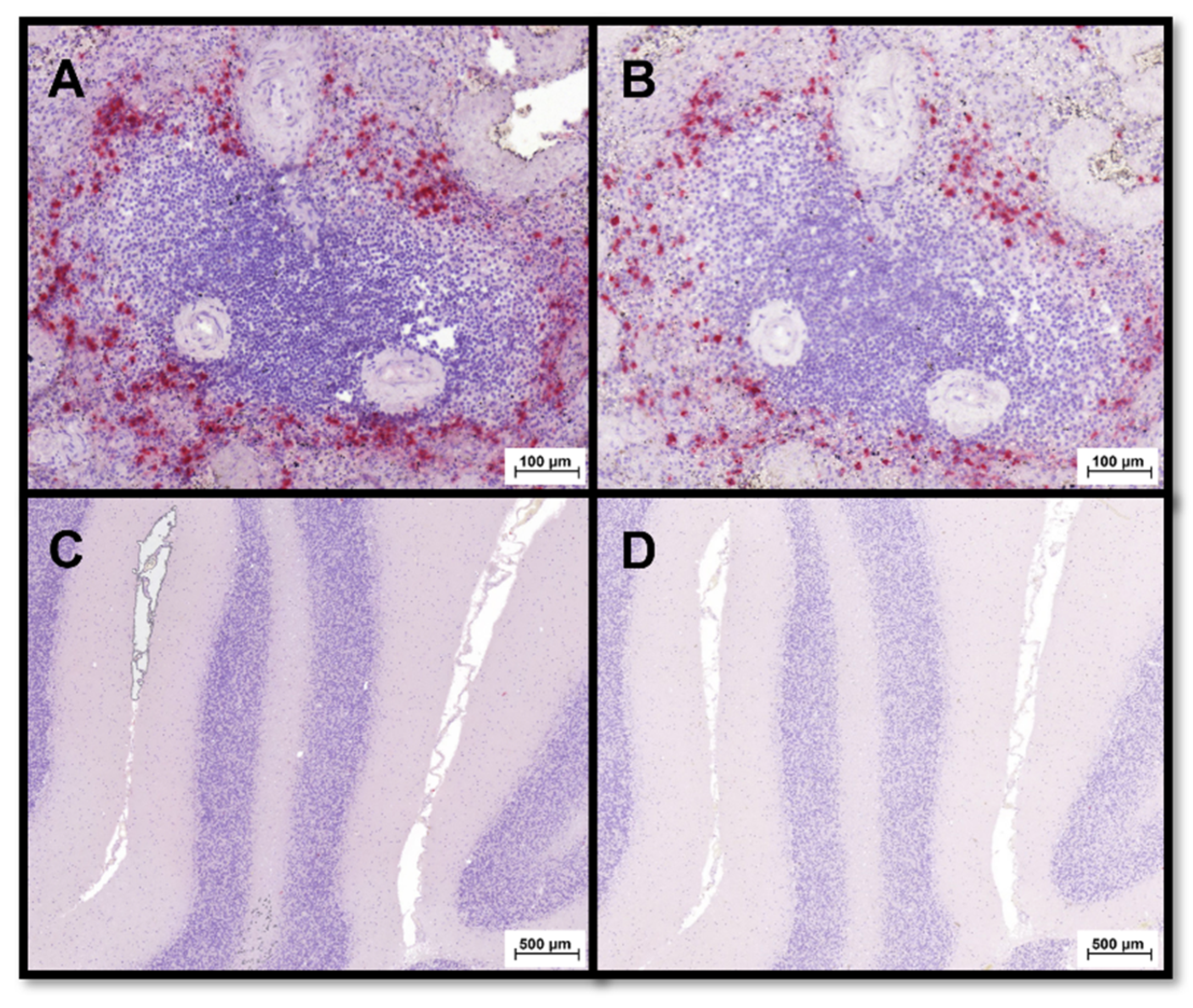 Animals 12 02044 g003 550