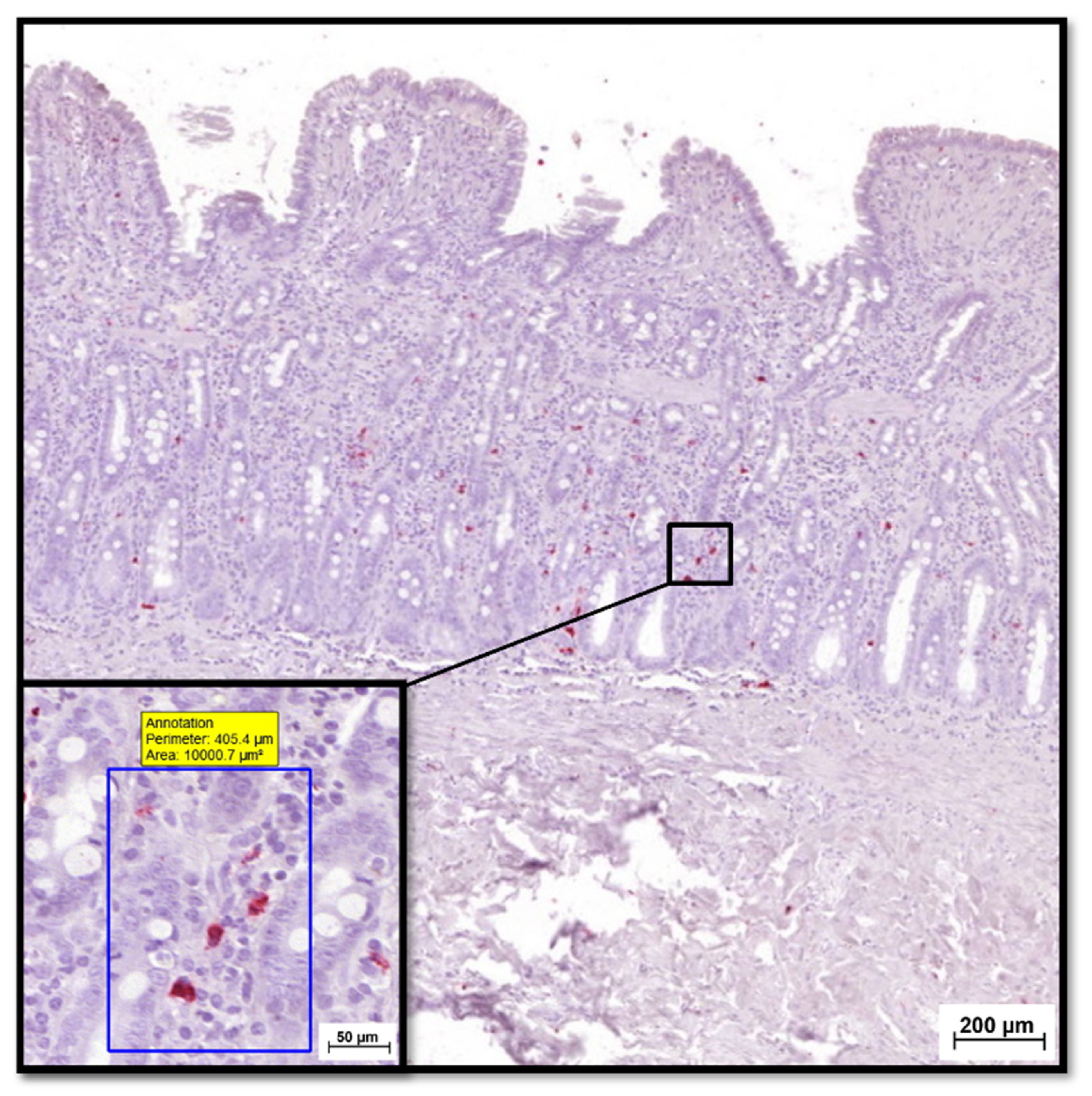 Animals 12 02044 g004 550