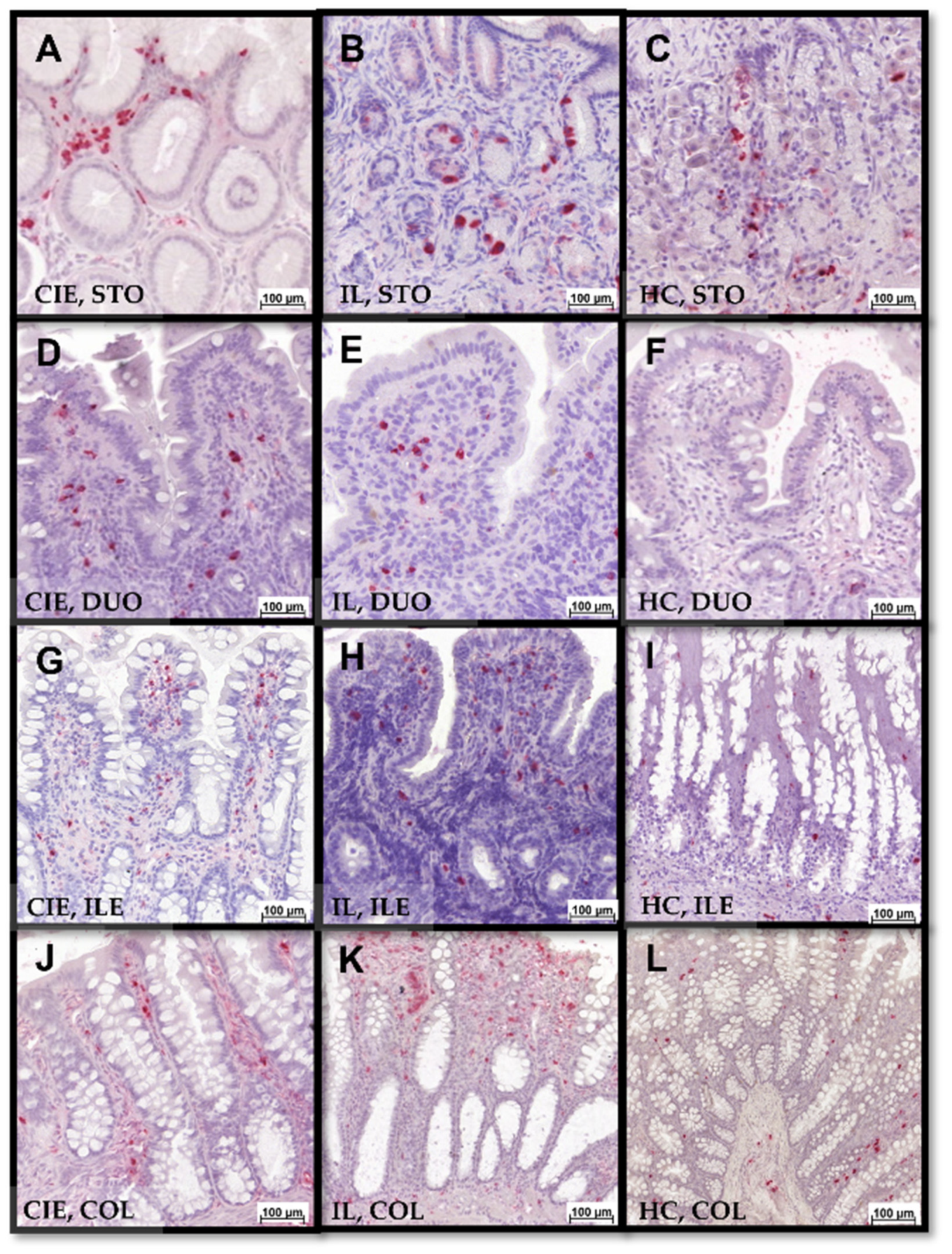 Animals 12 02044 g007 550