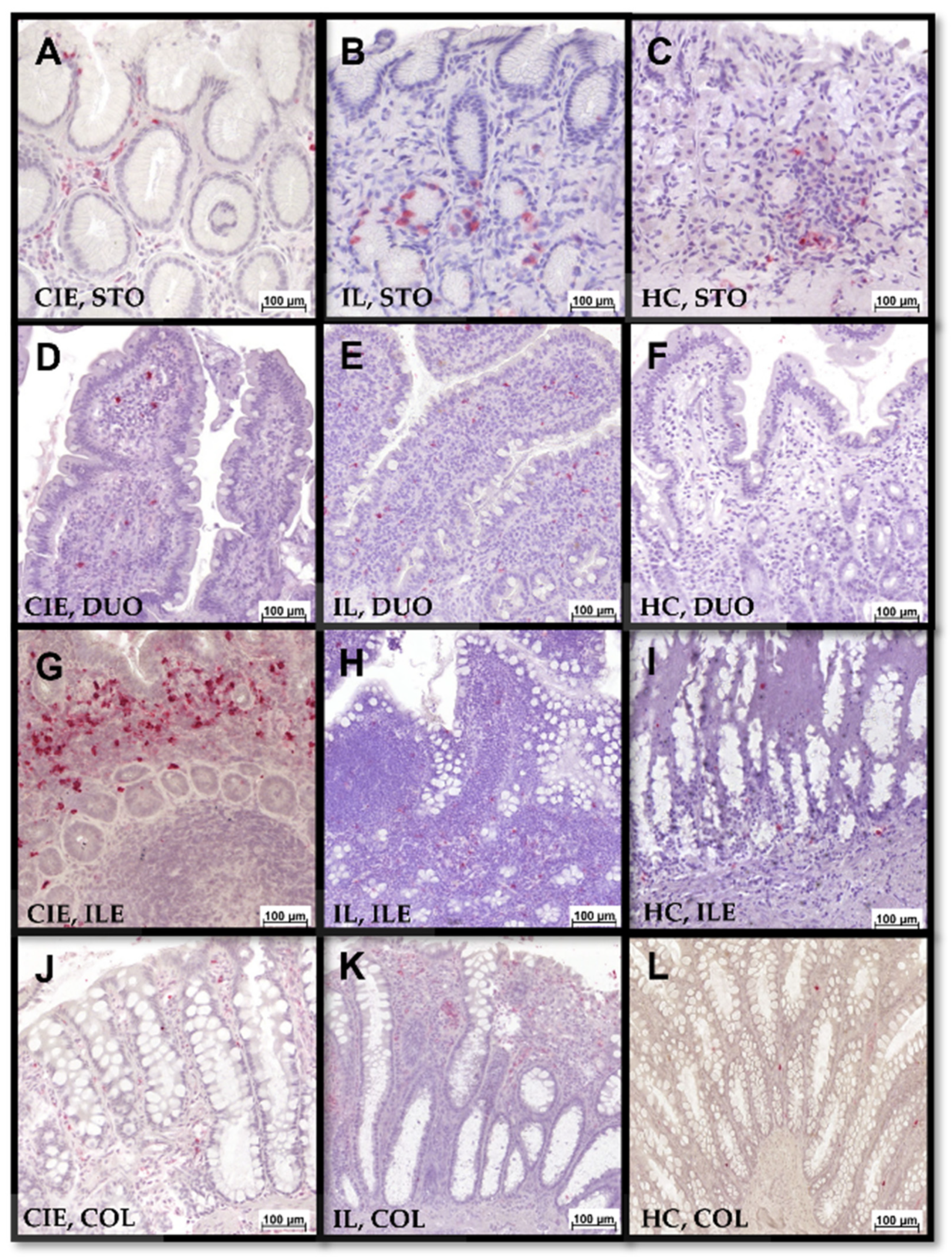 Animals 12 02044 g008 550