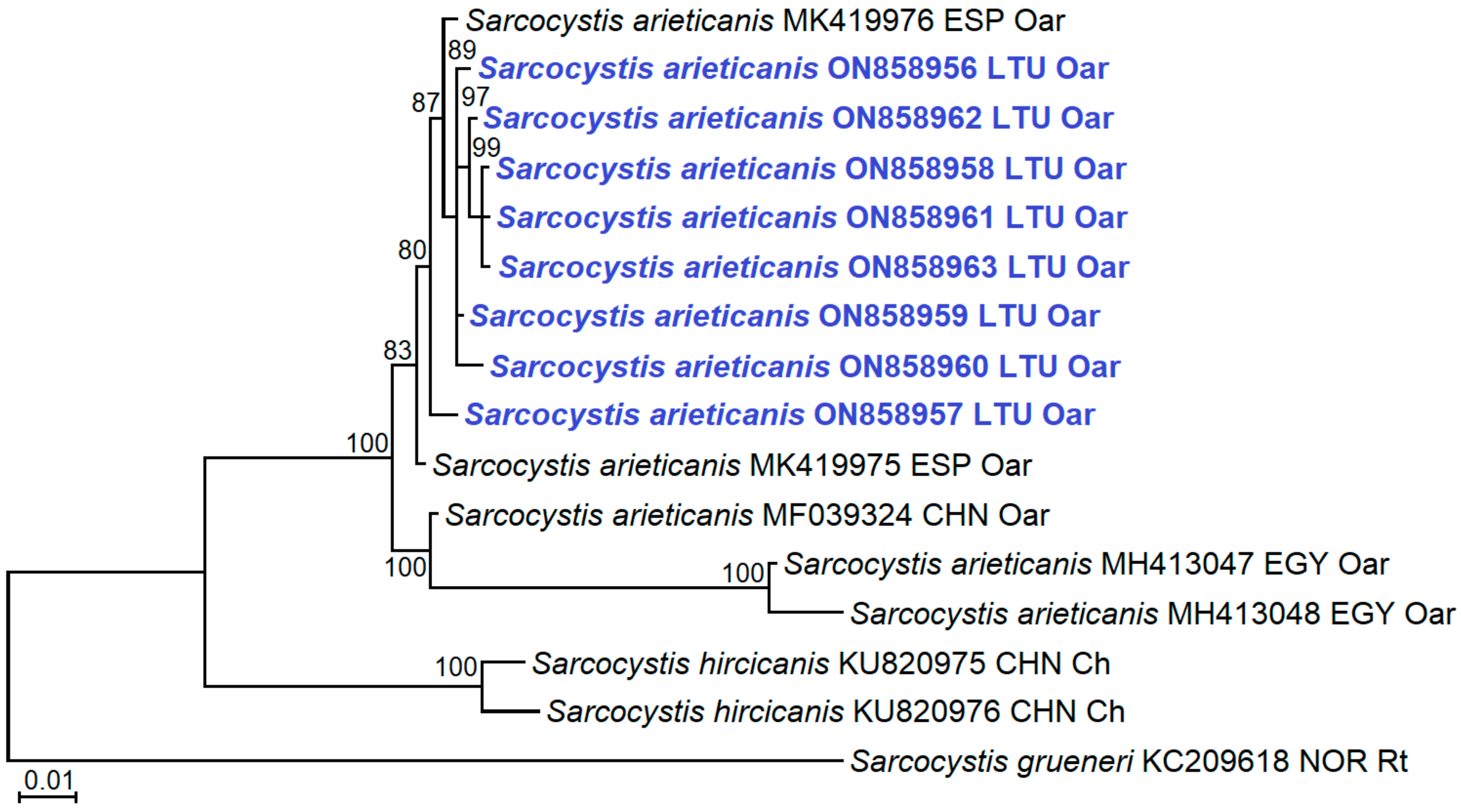 Animals 12 02048 g002 Animals 12 02048 g002