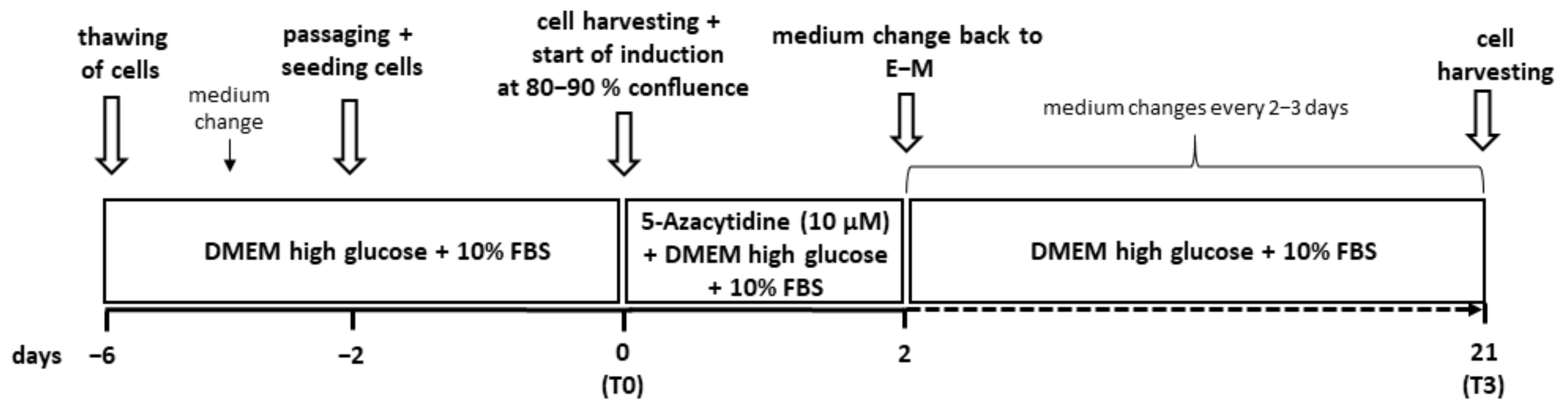 Animals 12 02049 g001 Animals 12 02049 g001