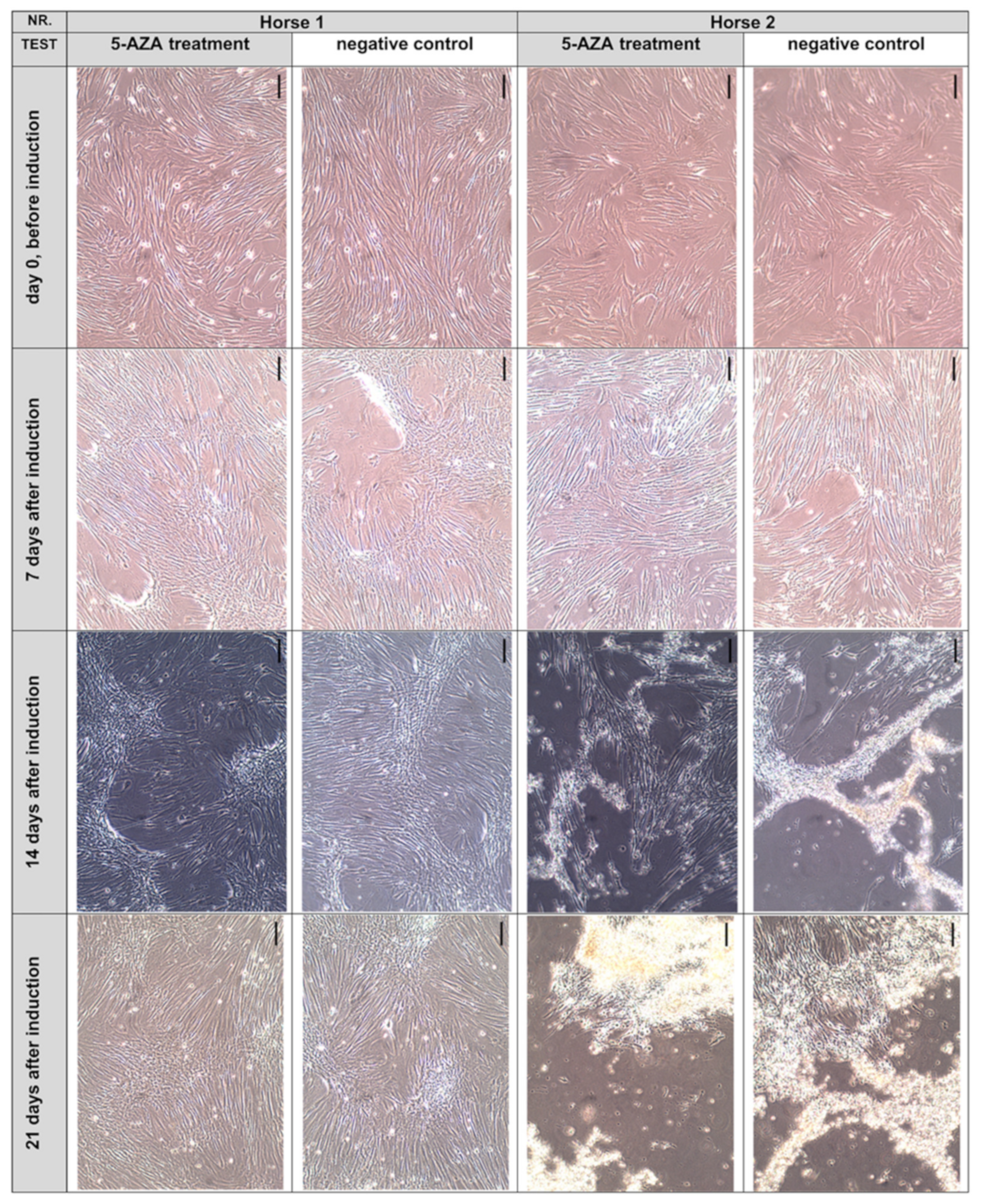 Animals 12 02049 g004 Animals 12 02049 g004