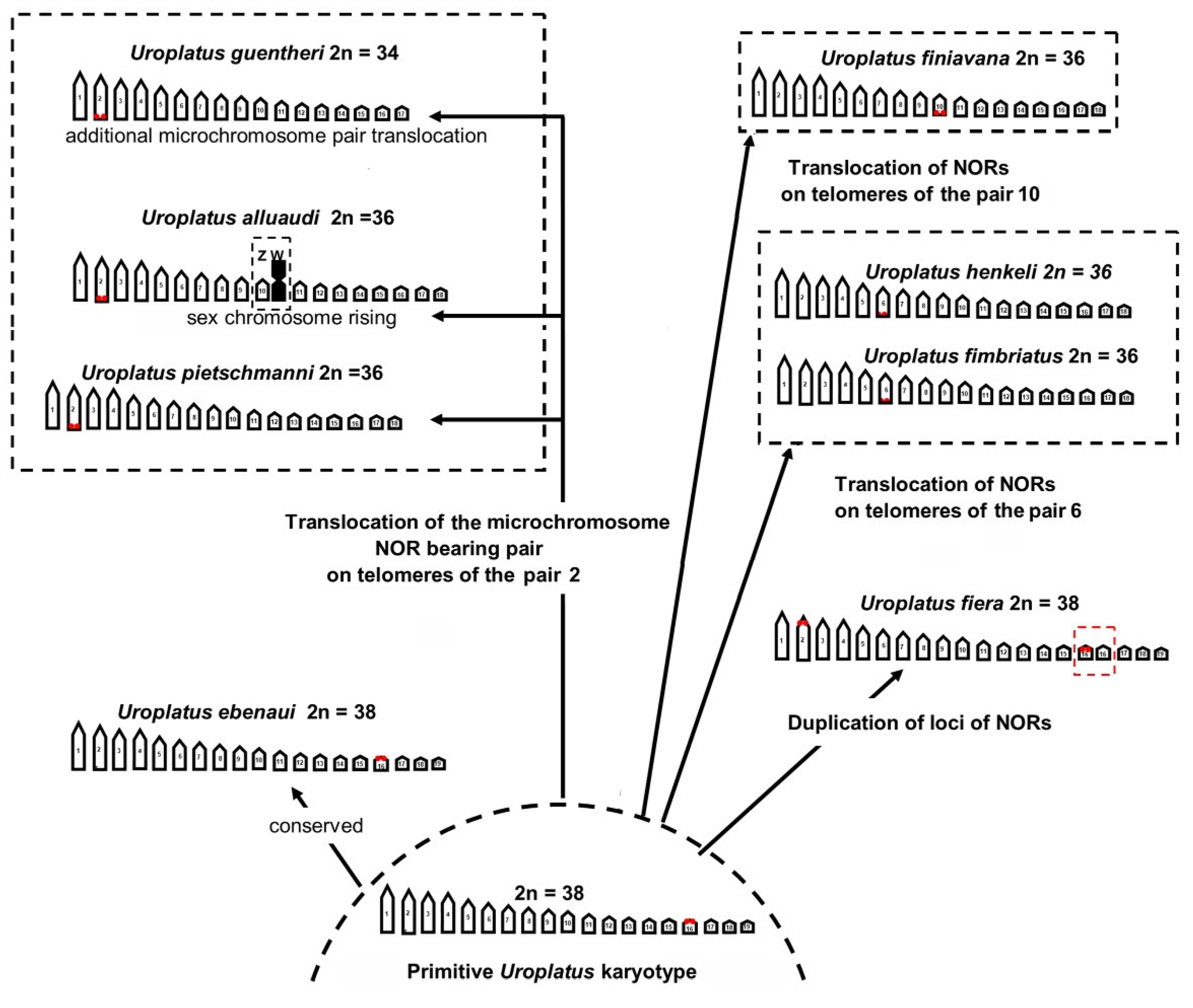 Animals 12 02054 g004 550