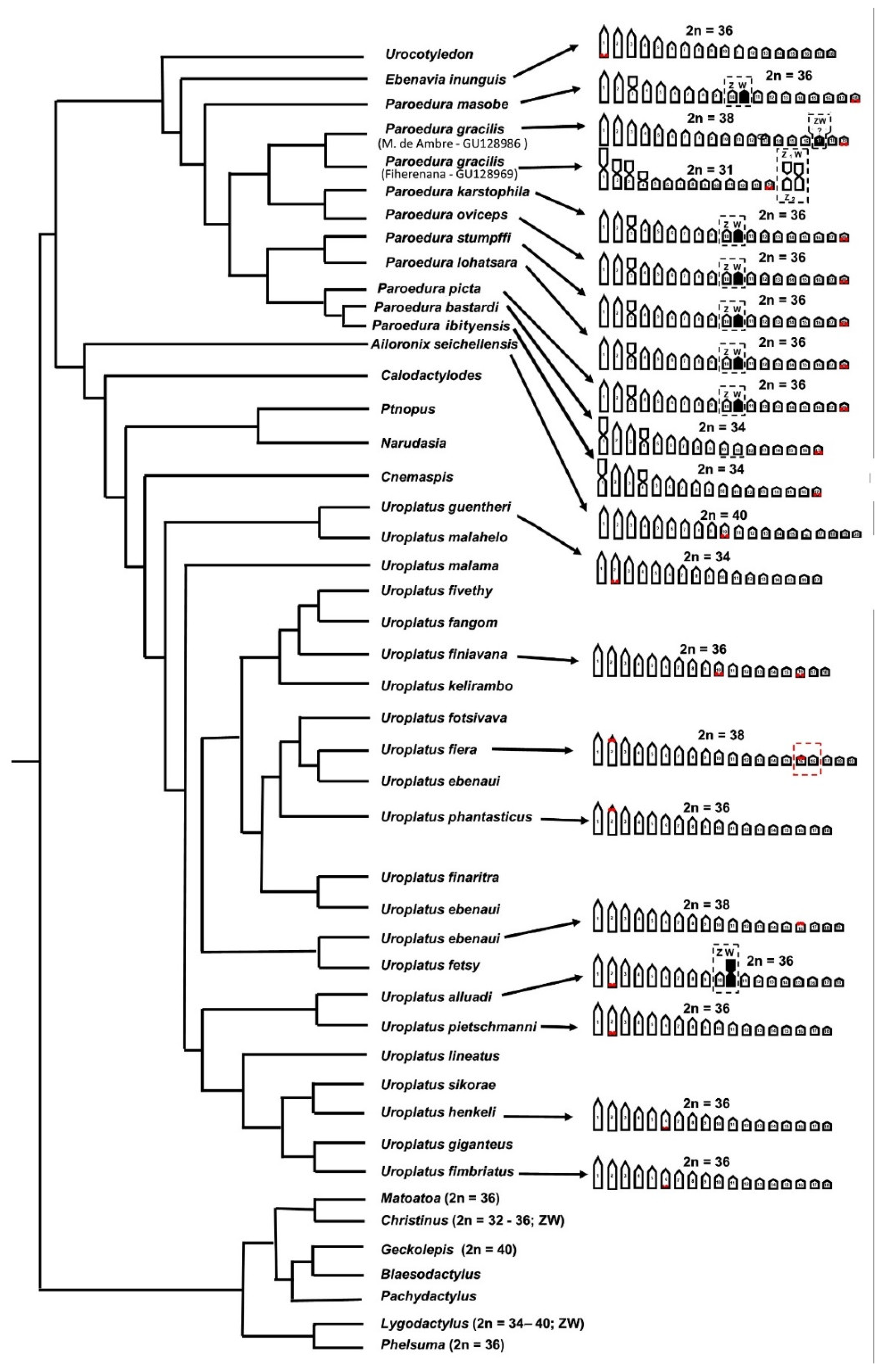Animals 12 02054 g005 550