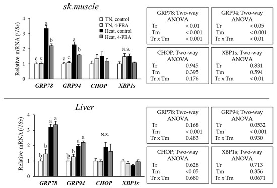 Effect of Dietary 4-Phenylbuthyric Acid Supplementation on