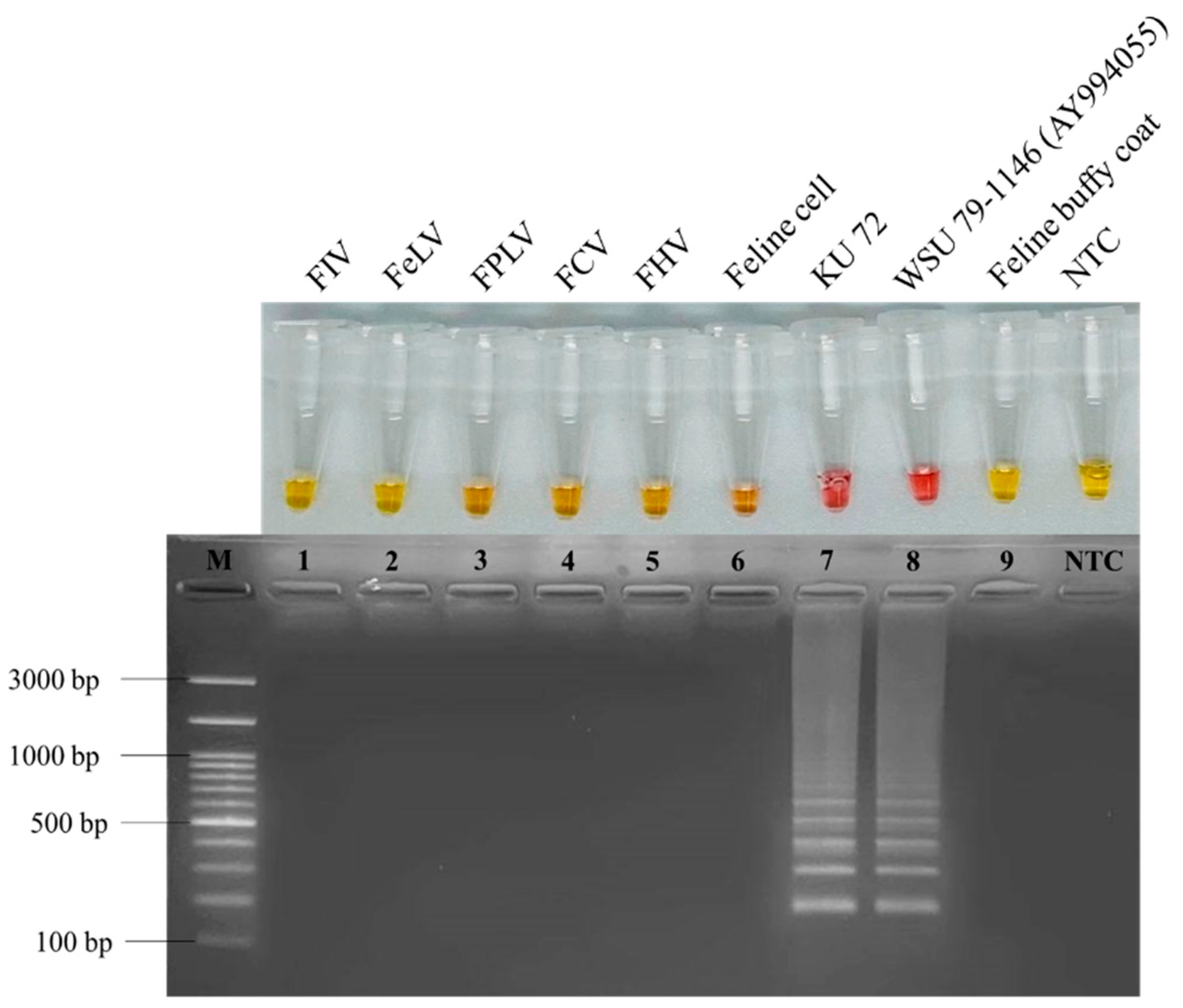 Animals 12 02075 g002 Animals 12 02075 g002