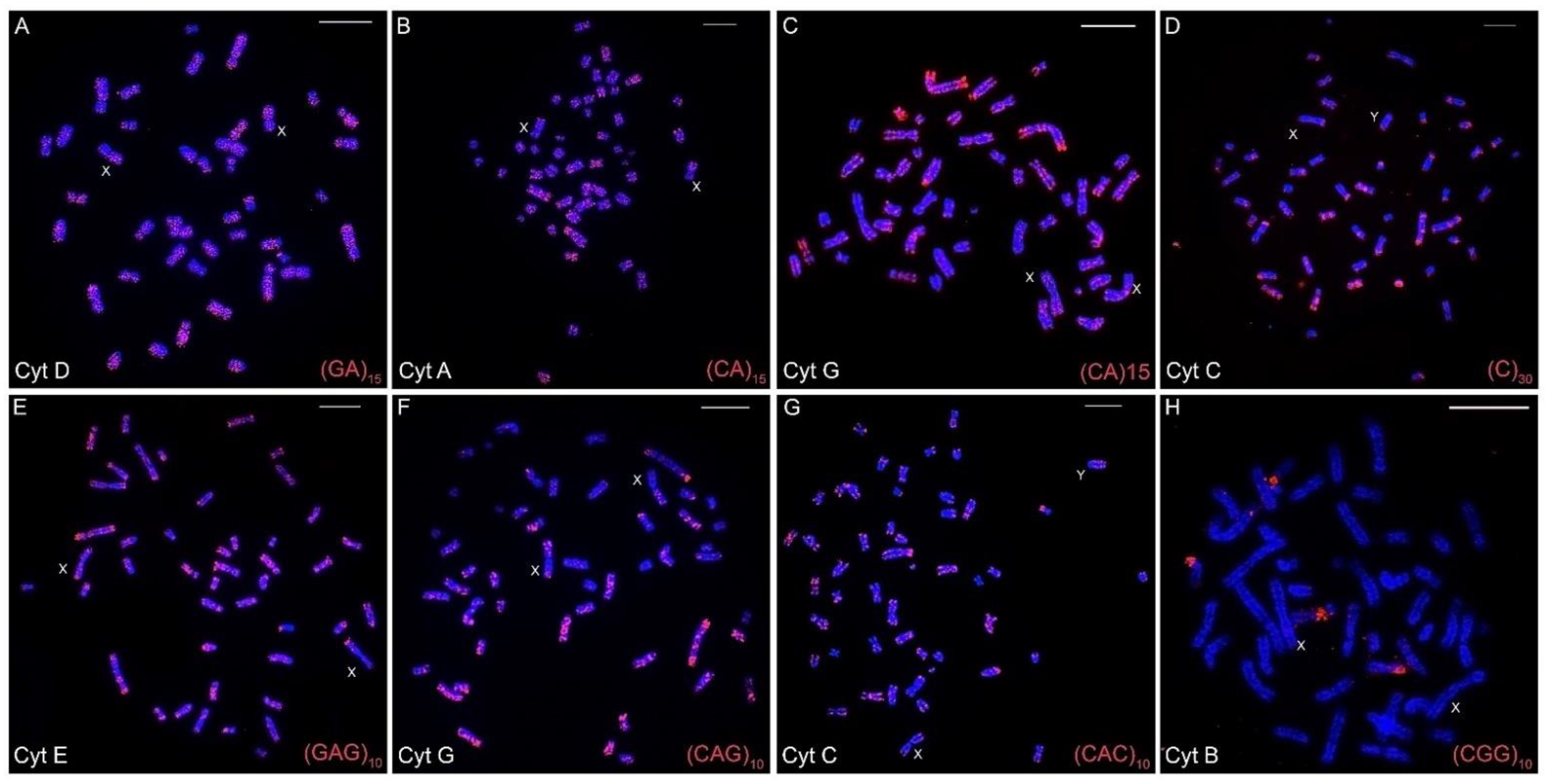 Animals 12 02091 g002 Animals 12 02091 g002