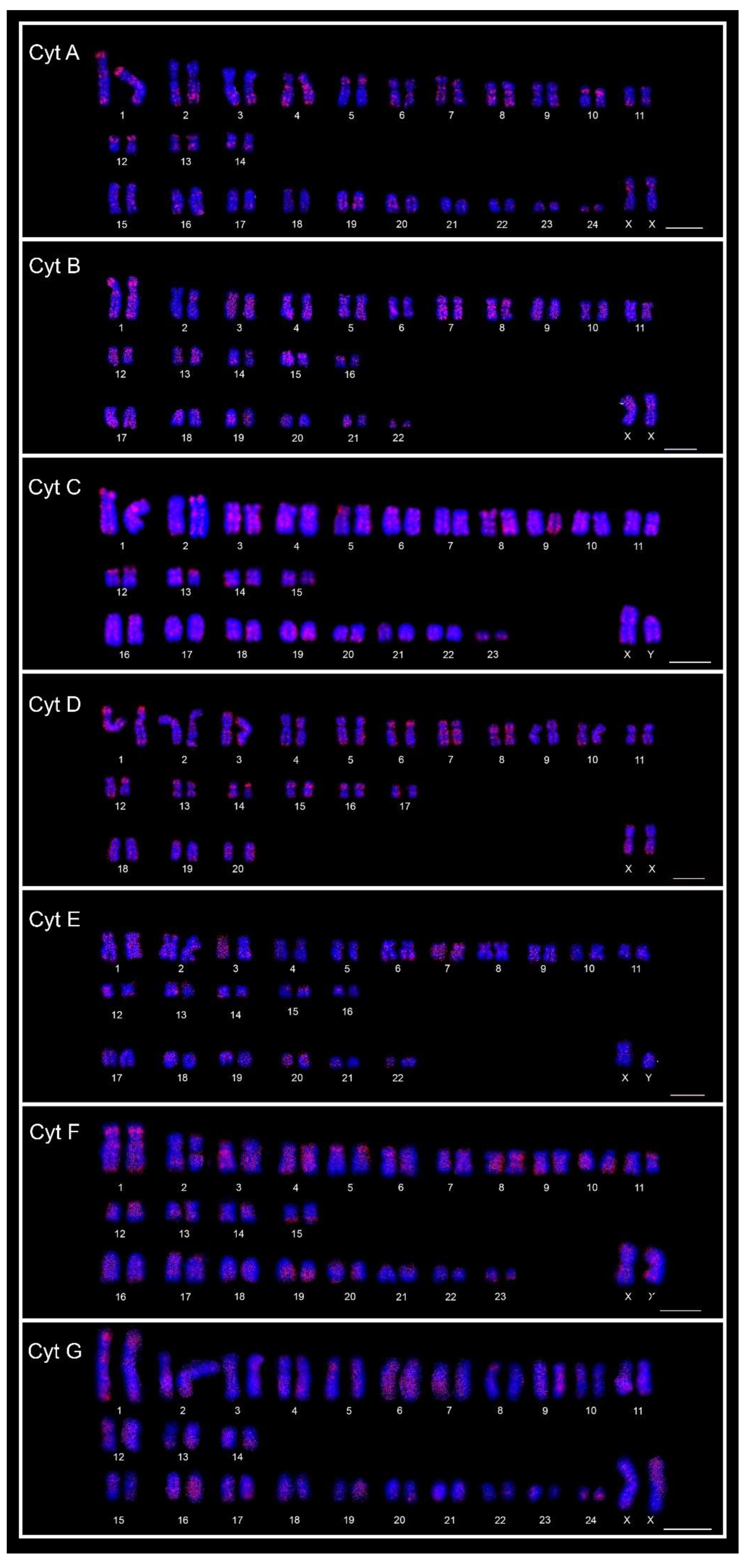 Animals 12 02091 g003 Animals 12 02091 g003