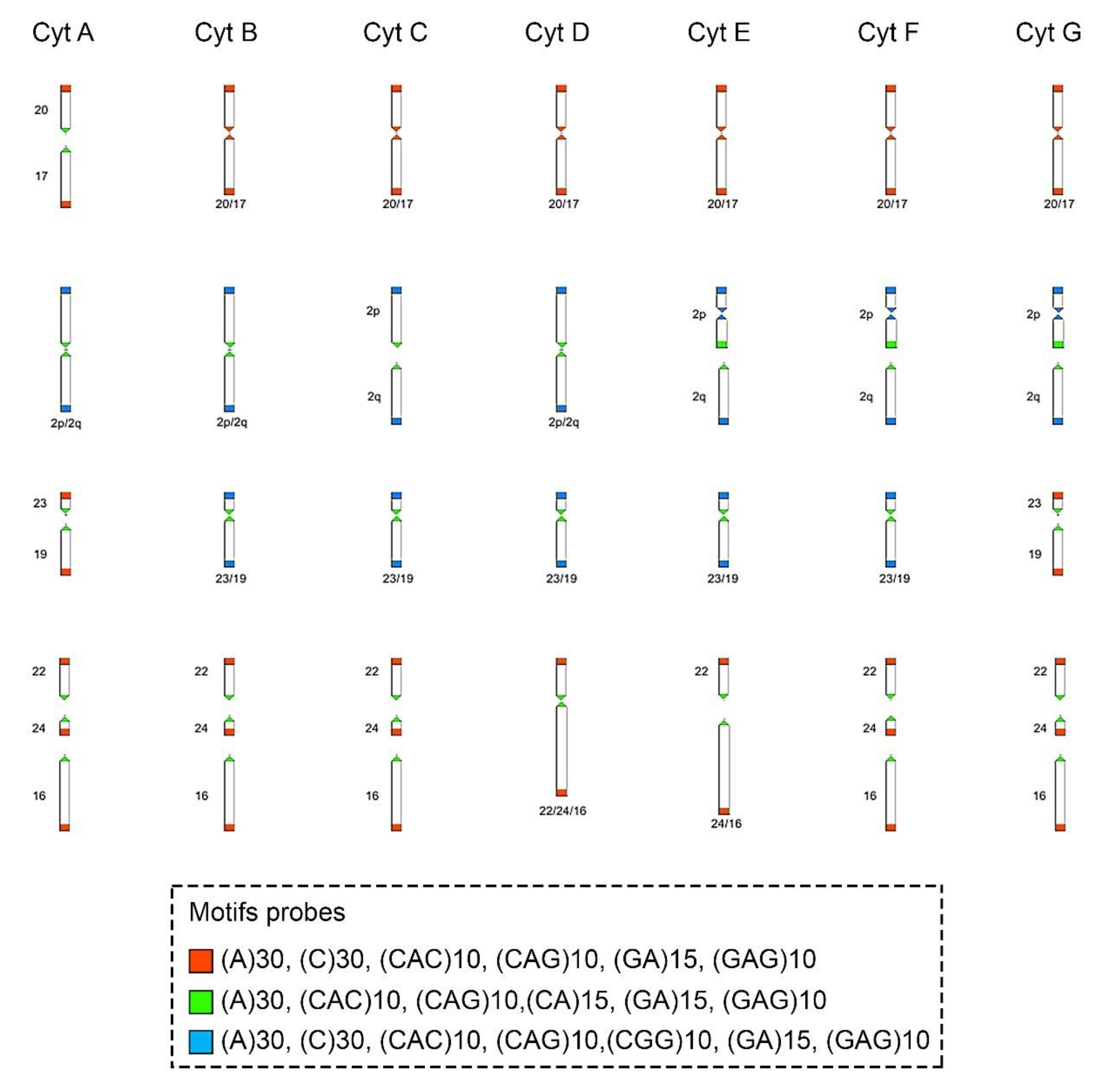 Animals 12 02091 g004 Animals 12 02091 g004