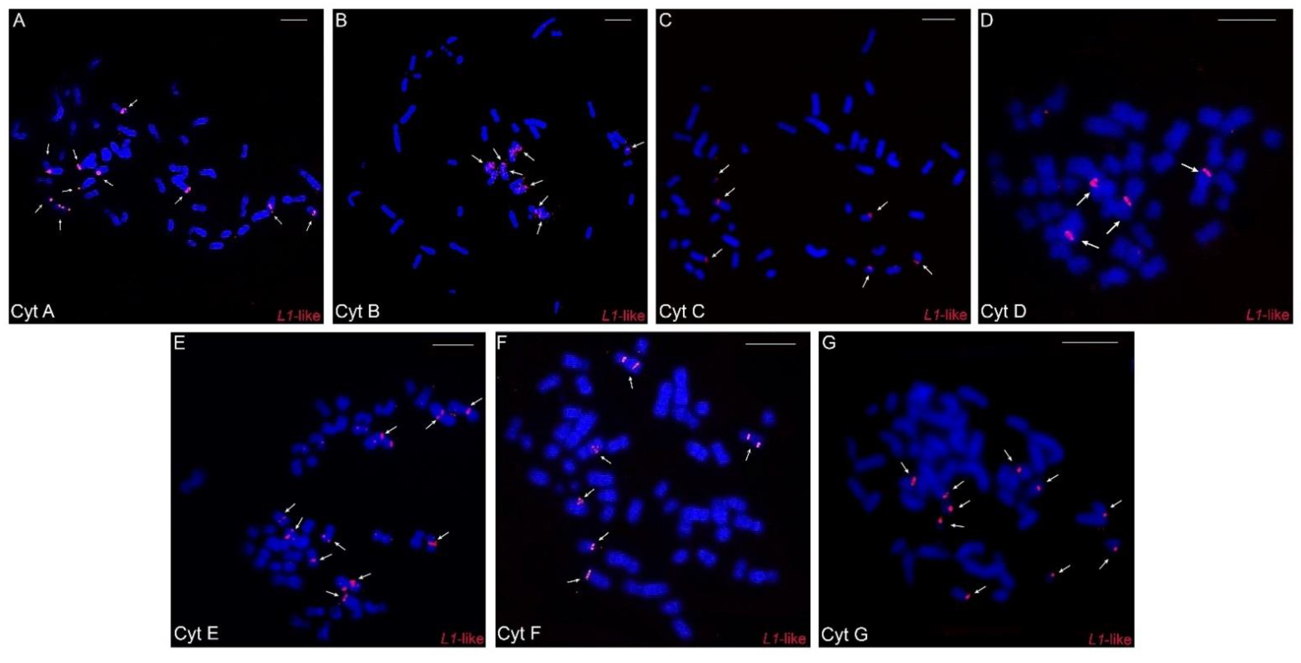 Animals 12 02091 g005 Animals 12 02091 g005