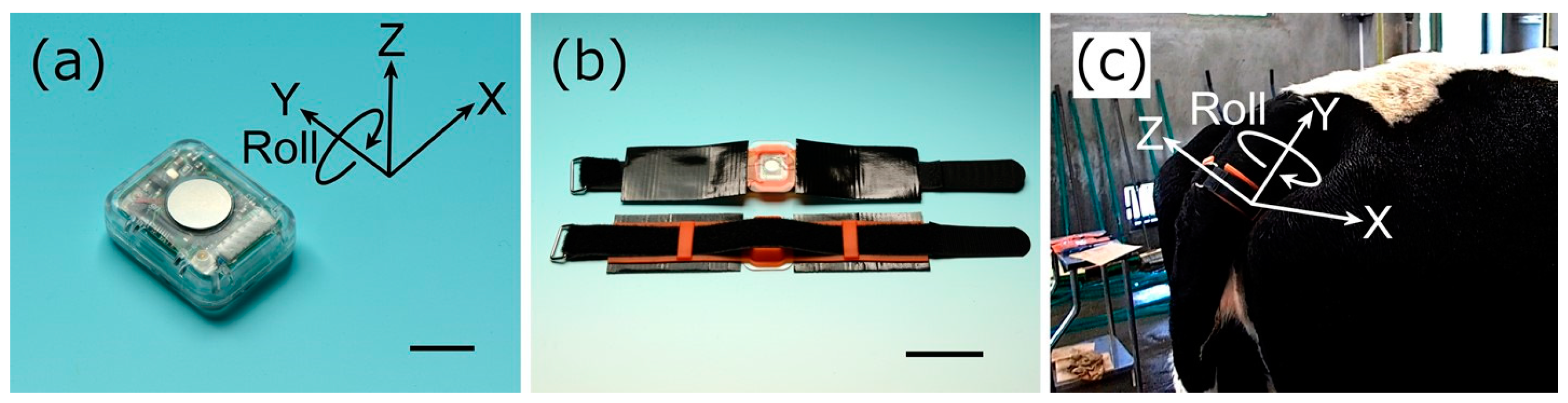 Animals 12 02095 g001