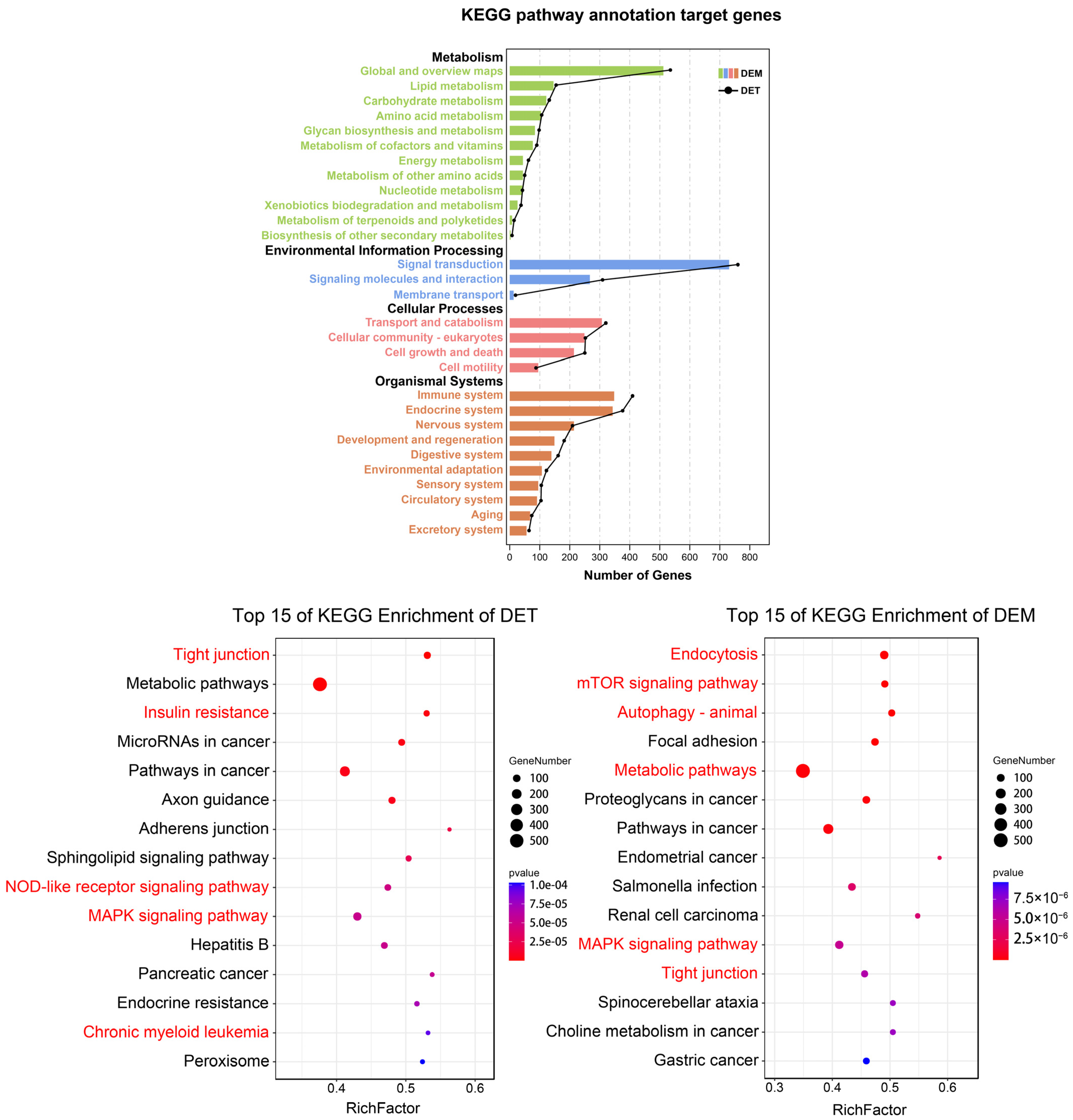 Animals 12 02102 g007 550