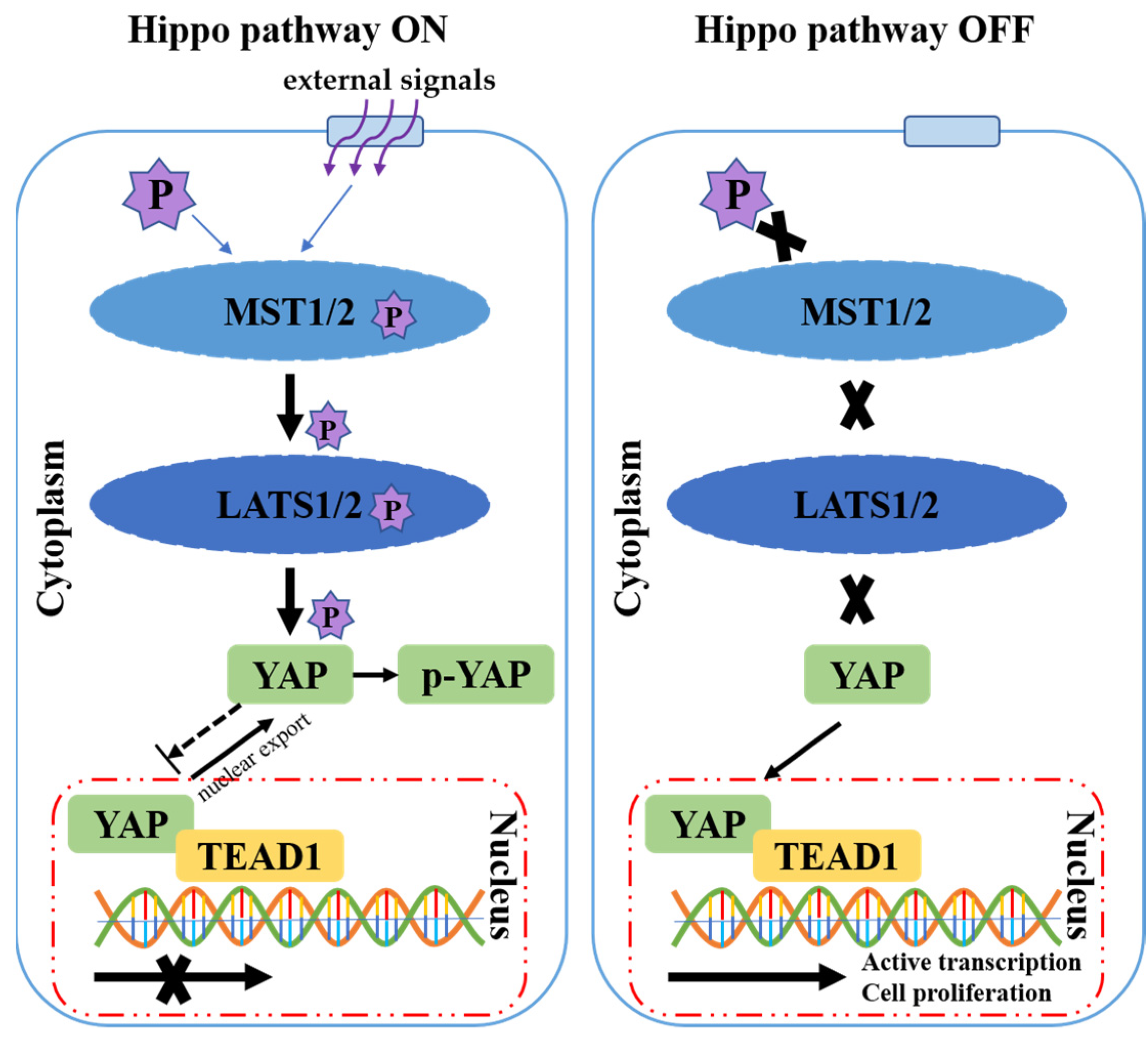 Animals 12 02103 g001