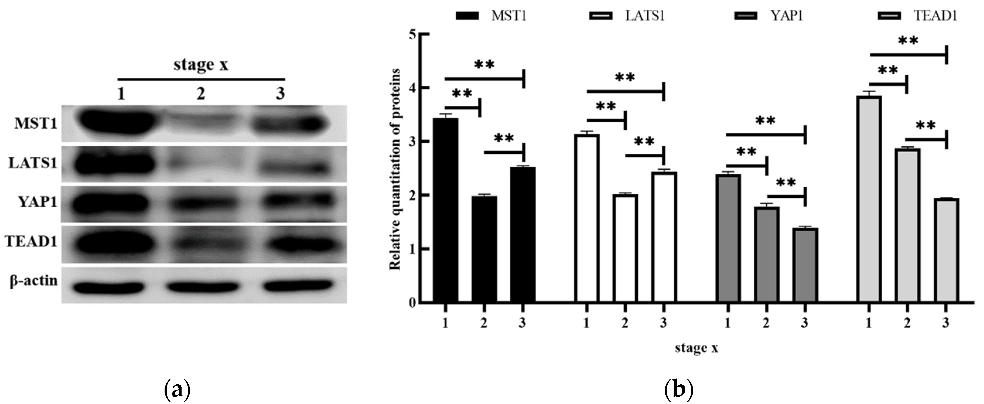 Animals 12 02103 g003