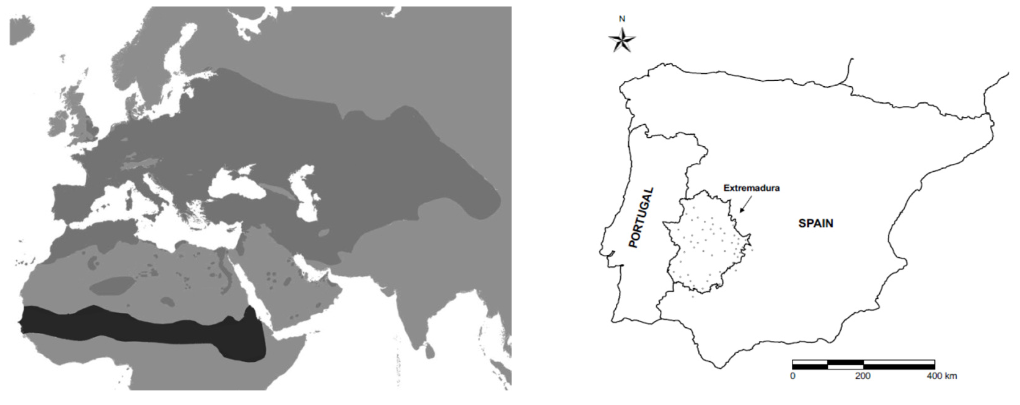 Animals 12 02106 g001