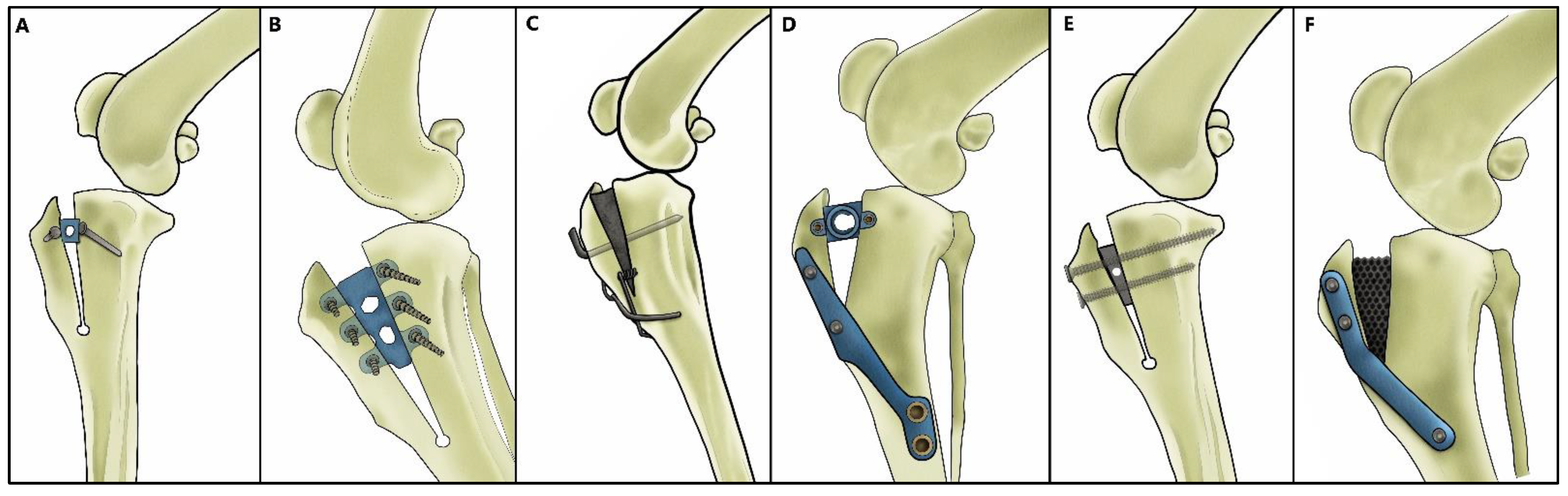 Animals 12 02114 g001 Animals 12 02114 g001
