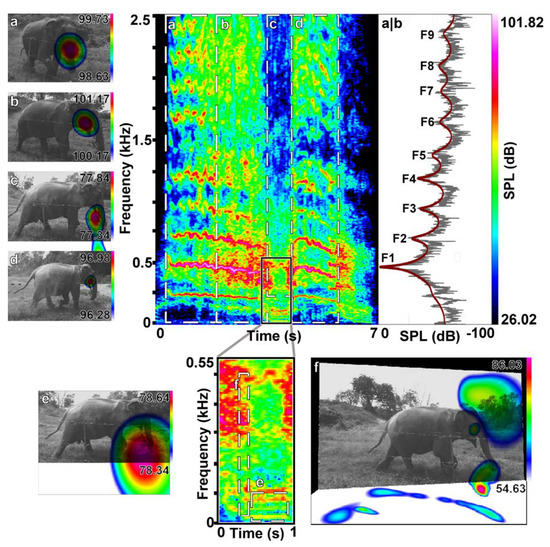 550px x 547px - Animals | Free Full-Text | Sound Visualization Demonstrates Velopharyngeal  Coupling and Complex Spectral Variability in Asian Elephants