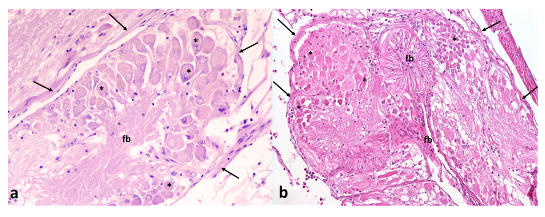 Animals 12 02122 g003 Animals 12 02122 g003