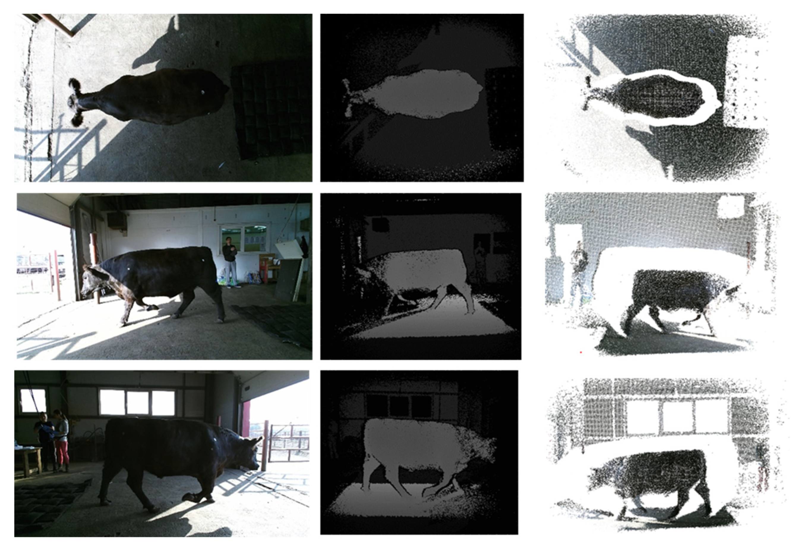 Animals 12 02128 g001 Animals 12 02128 g001