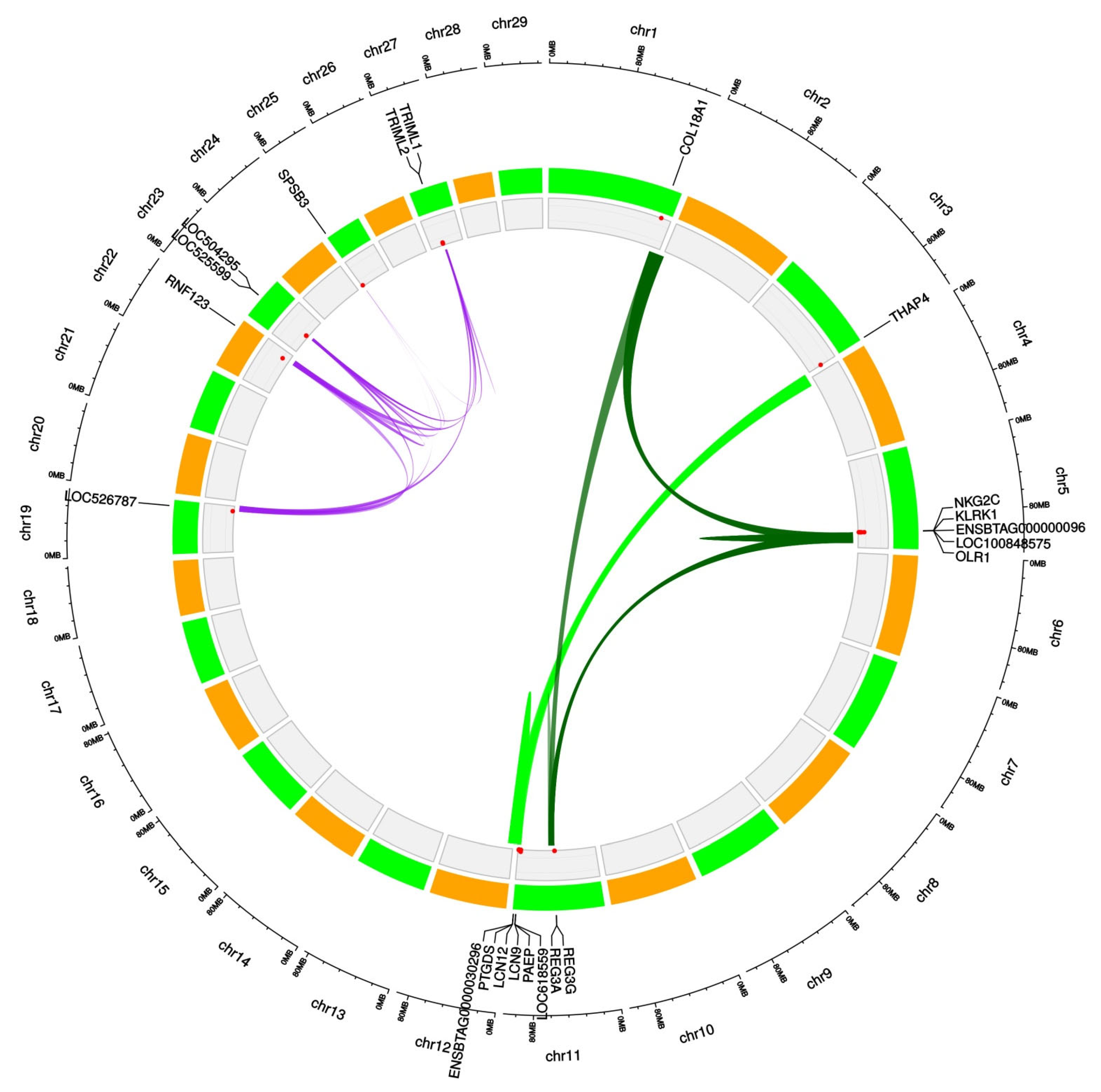 Animals 12 02130 g004 550