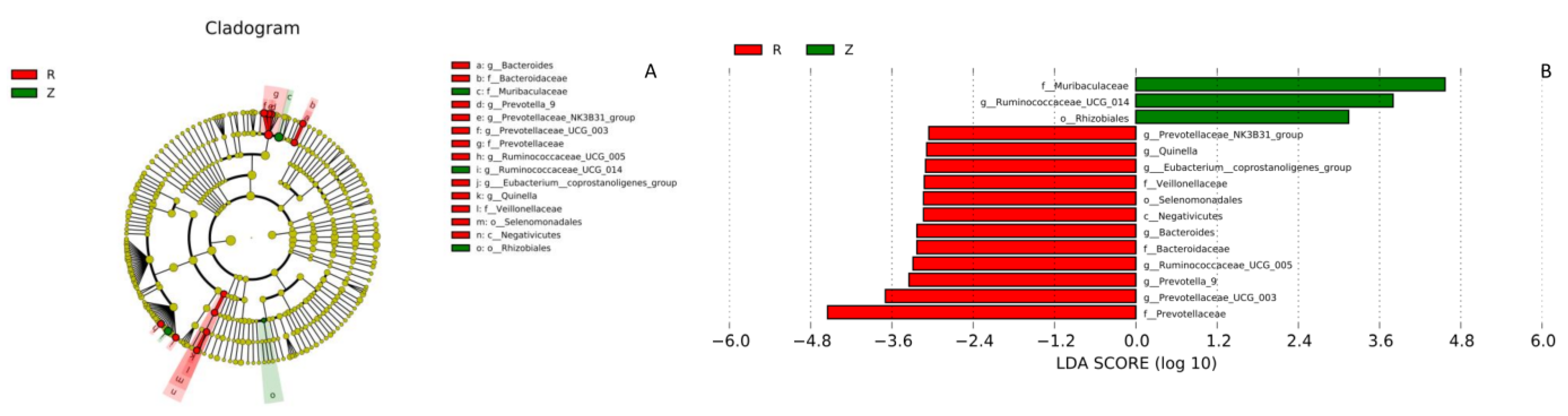 Animals 12 02155 g006