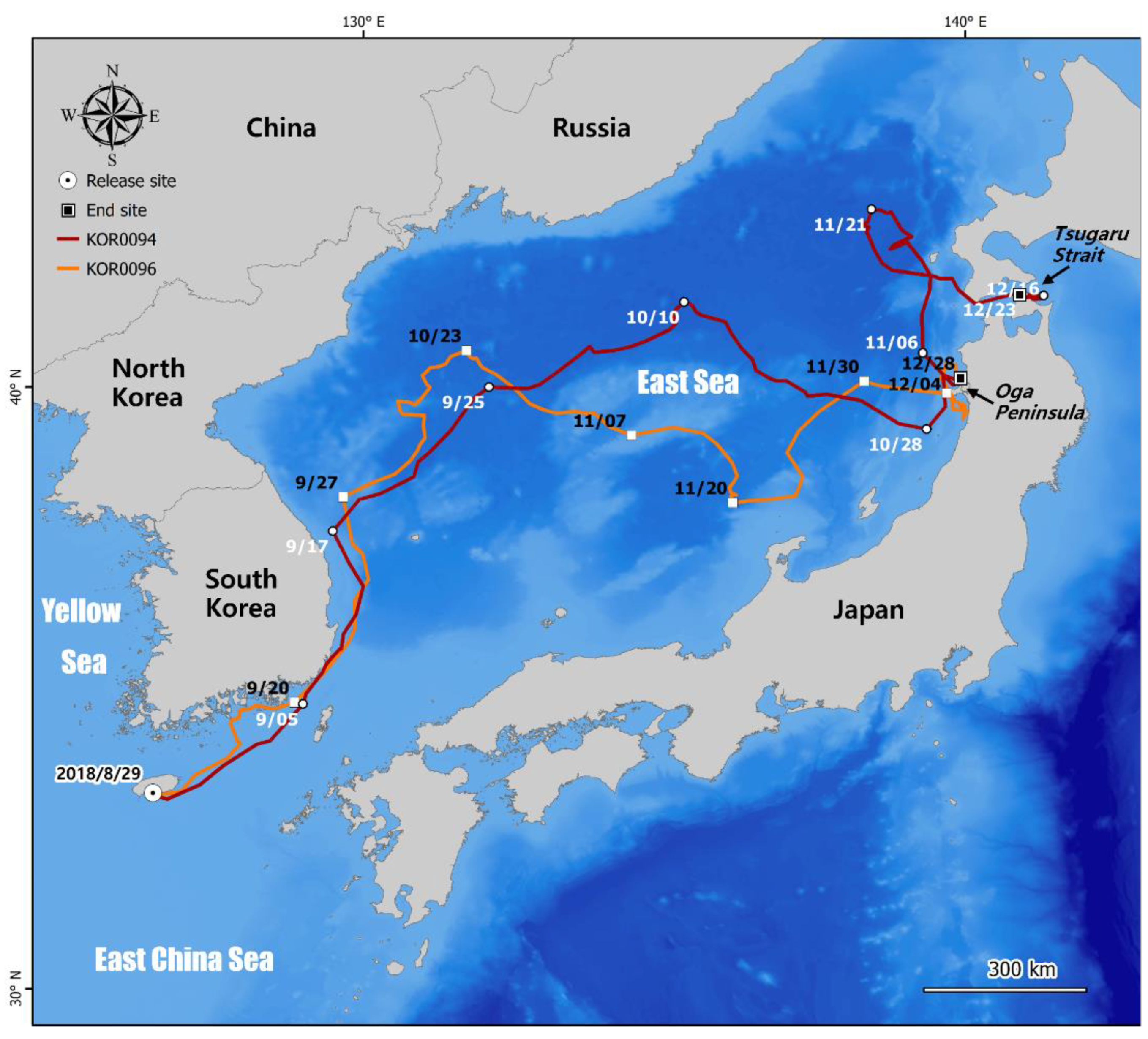 Animals 12 02157 g001